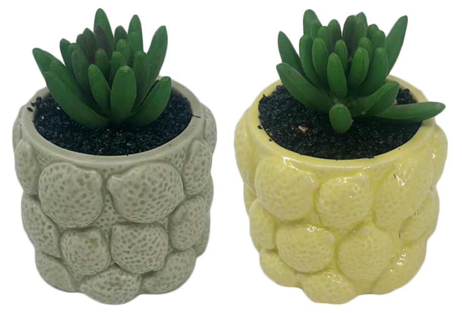PLANTA RESINA PE 8.5X8.5X10.5 LIMONES AMARILLO