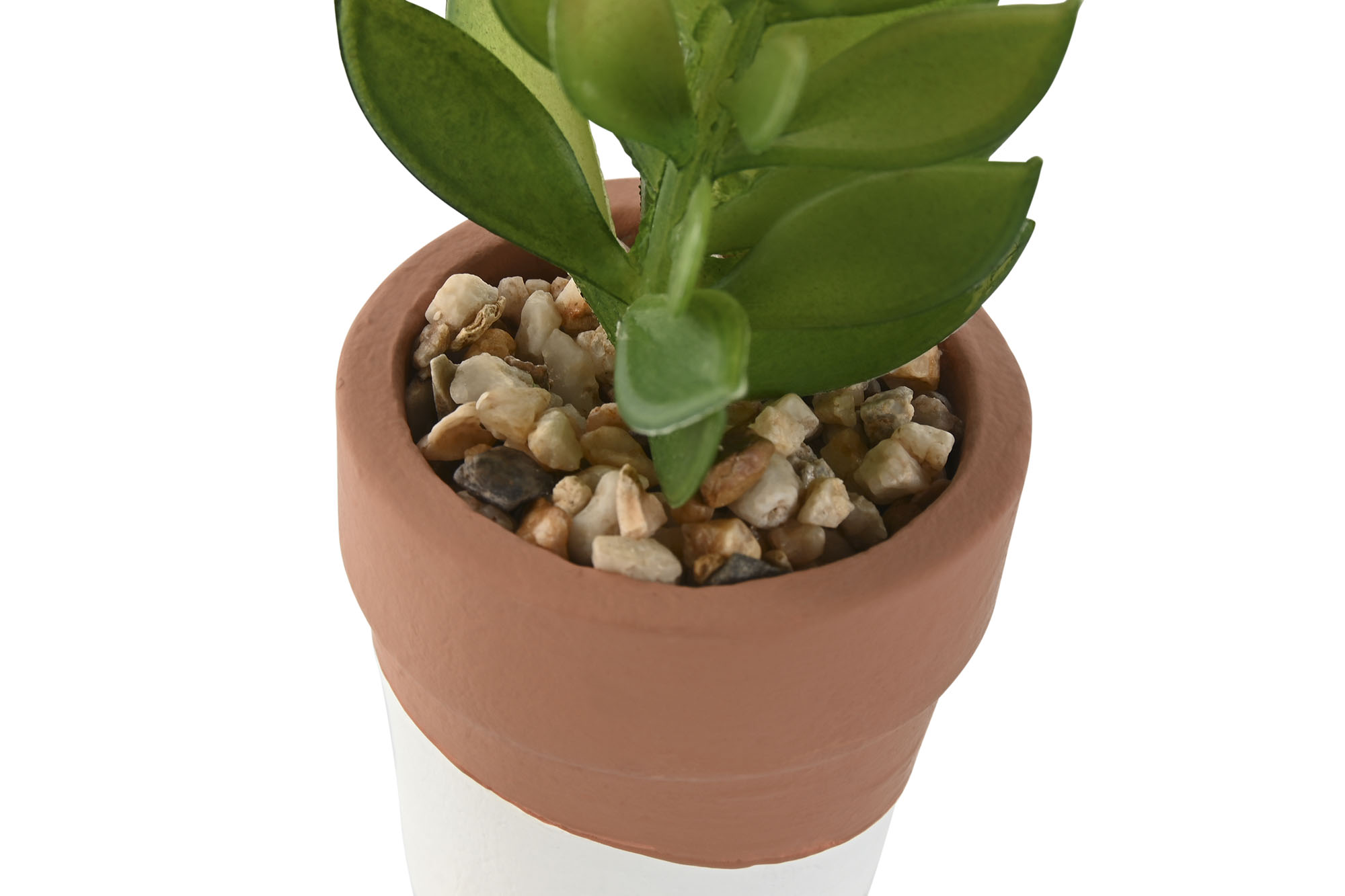 PLANTA CEMENTO PE 5,5X5,5X13CM 4