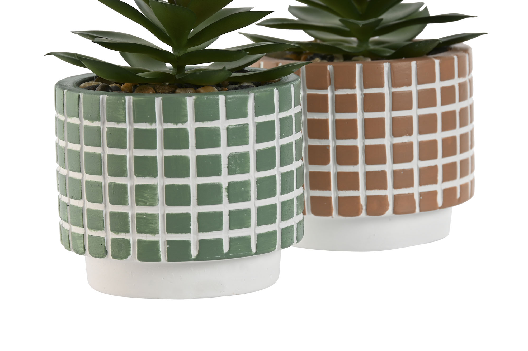 PLANTA CEMENTO PE 8X8X10CM VERDE 3