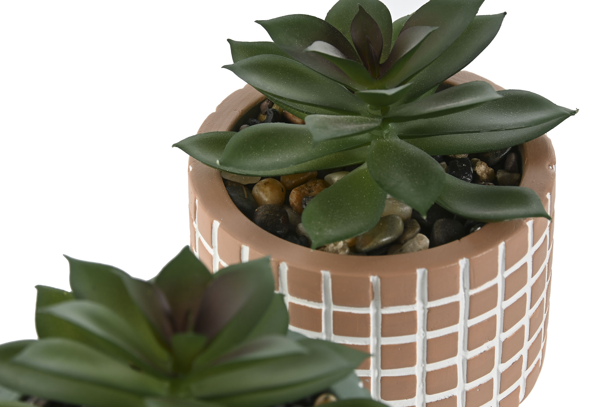 PLANTA CEMENTO PE 8X8X10CM VERDE 2