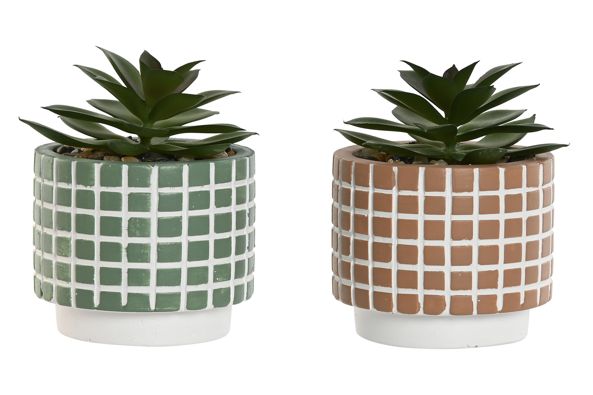 PLANTA CEMENTO PE 8X8X10CM