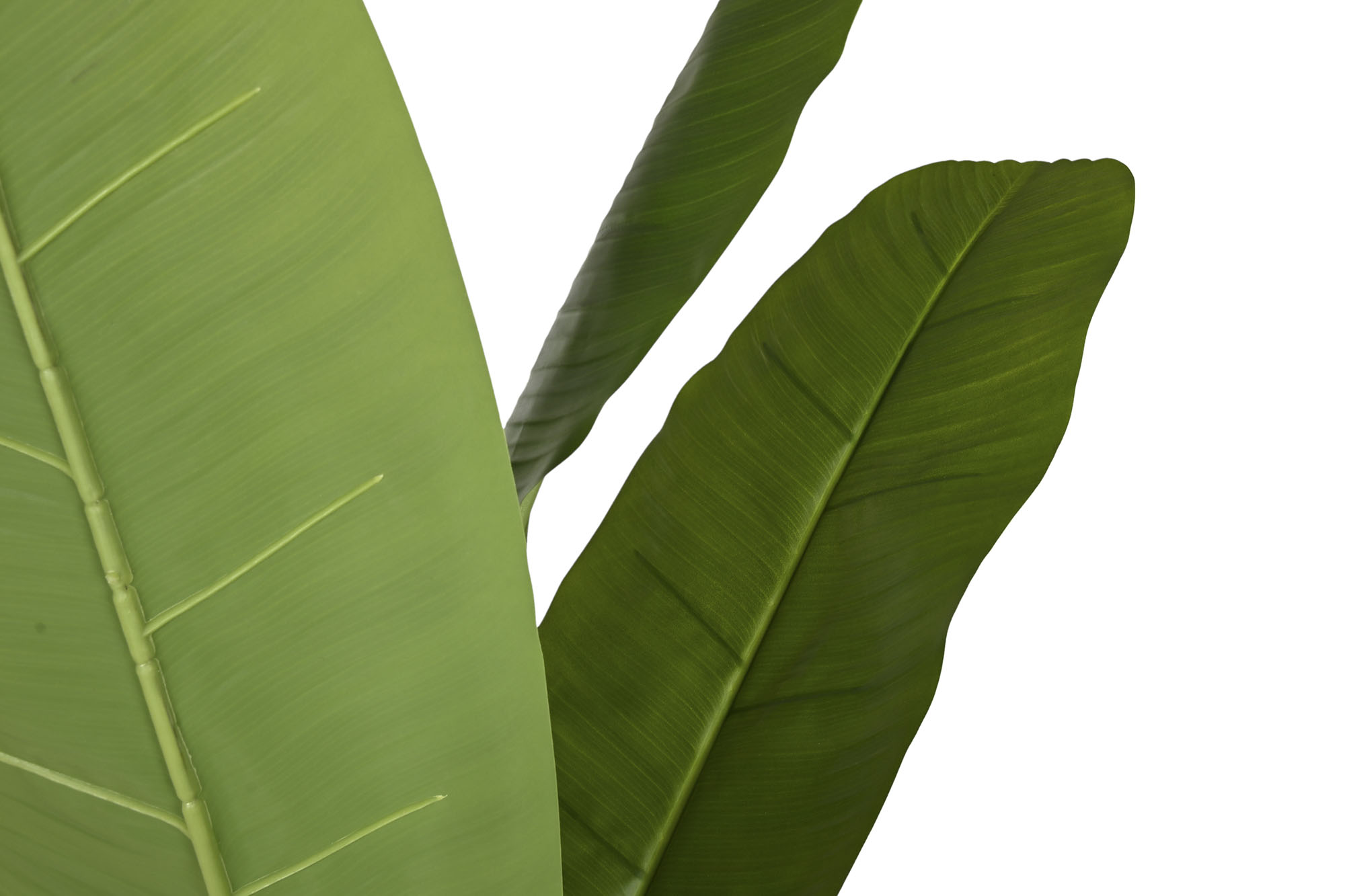 ARBOL PE PP 120X120X210 BANANERO VERDE 2