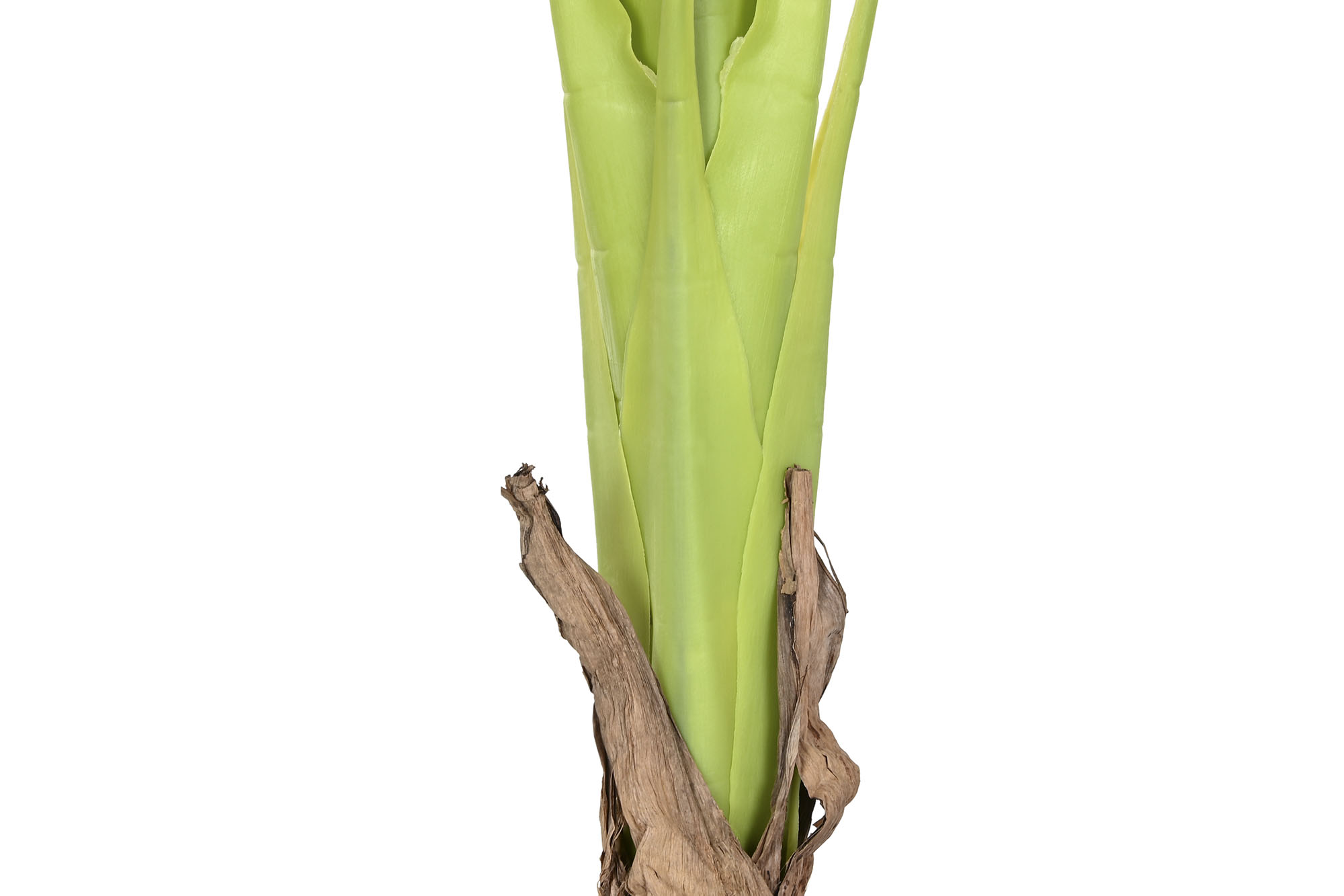 ARBOL PE PP 120X120X210 BANANERO VERDE 3