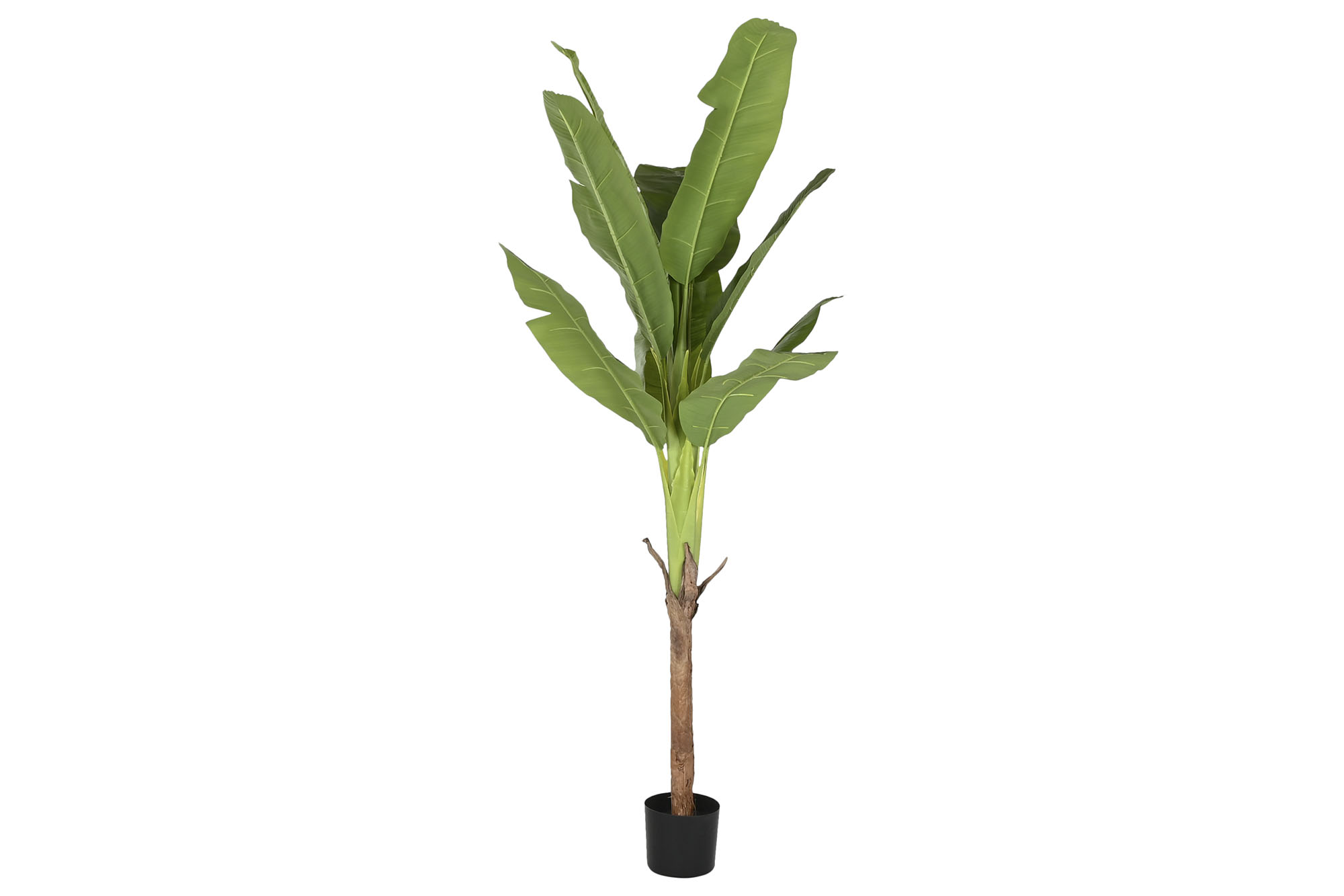 ARBOL PE PP 120X120X210 BANANERO VERDE