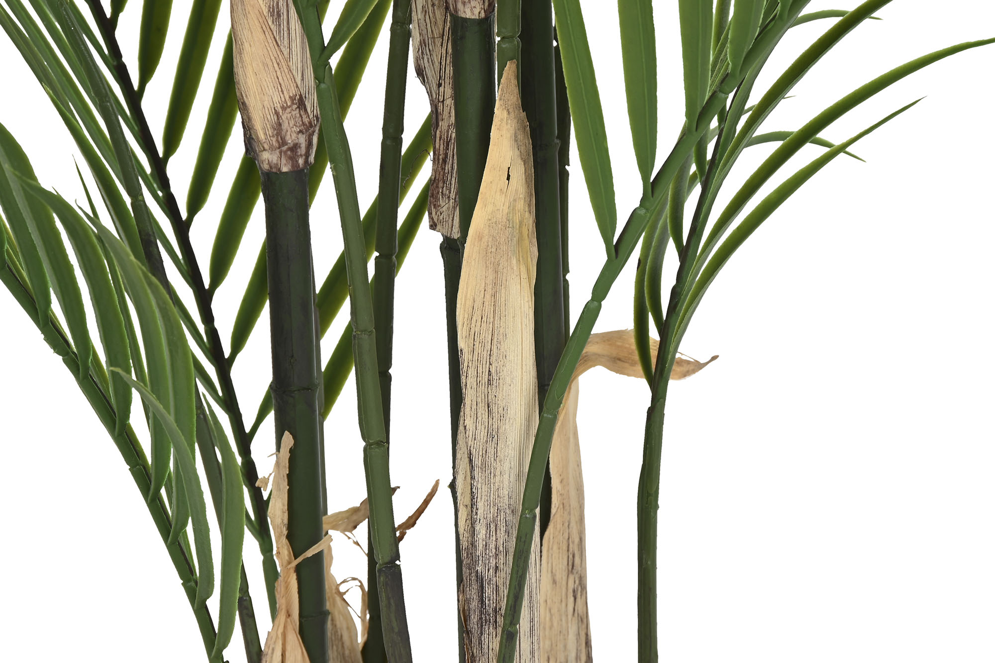 PLANTA PE PP 92X92X150 KWAI PALMERA VERDE 4