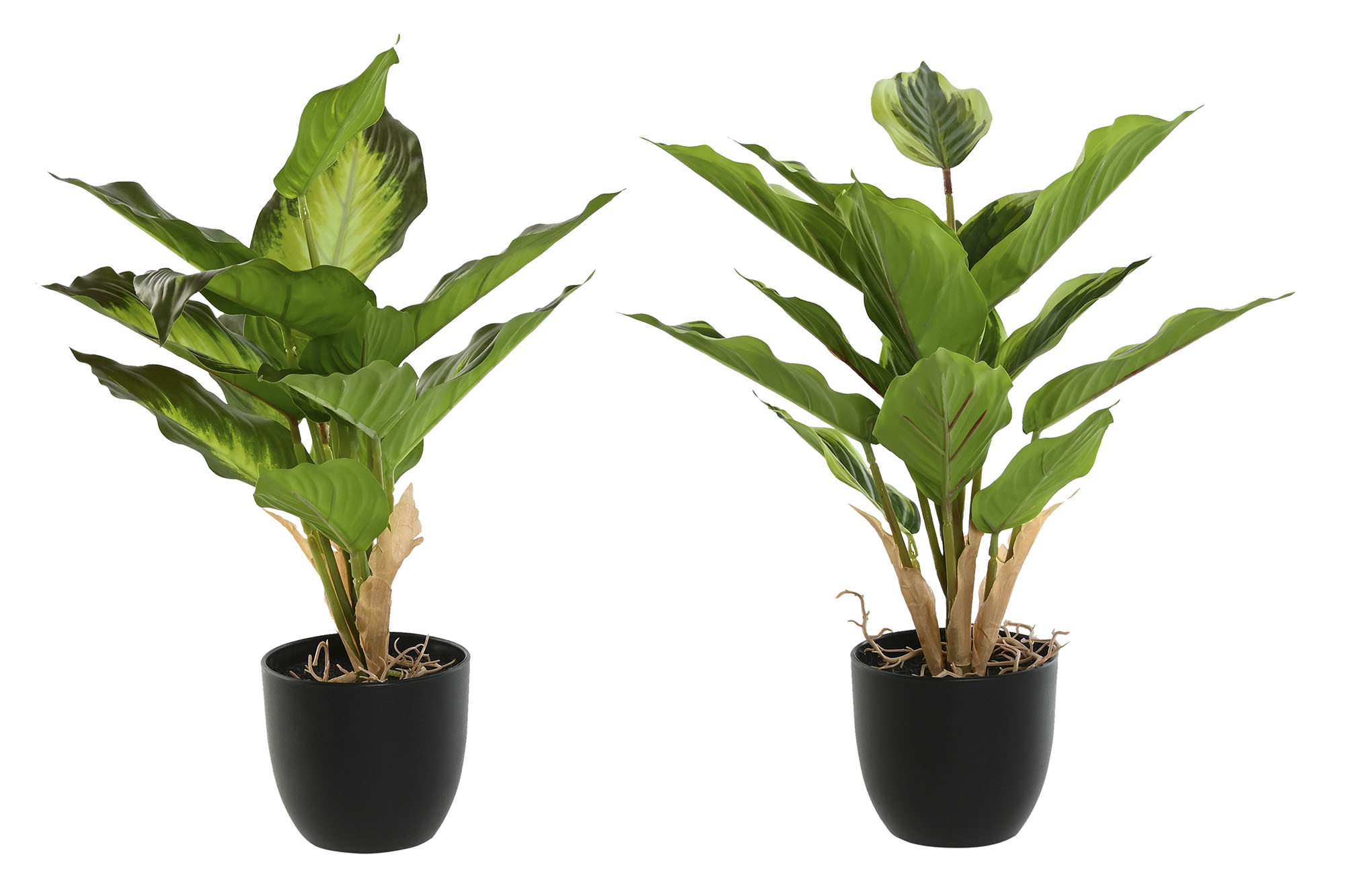 PLANTA PE PP 28X28X36 14 HOJAS BLANCA