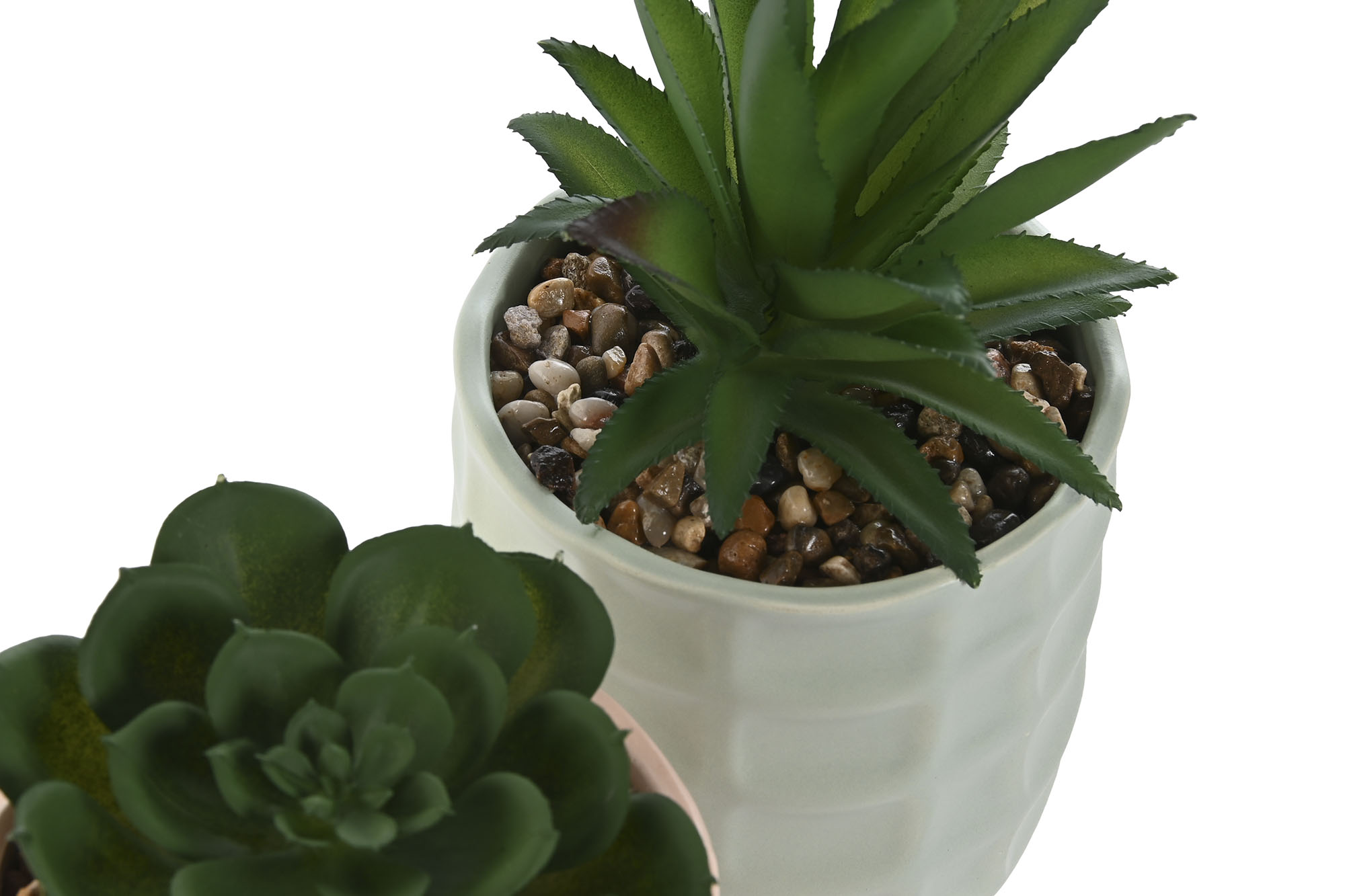 PLANTA DOLOMITE PE 10X10X20 10CM ROSA 3