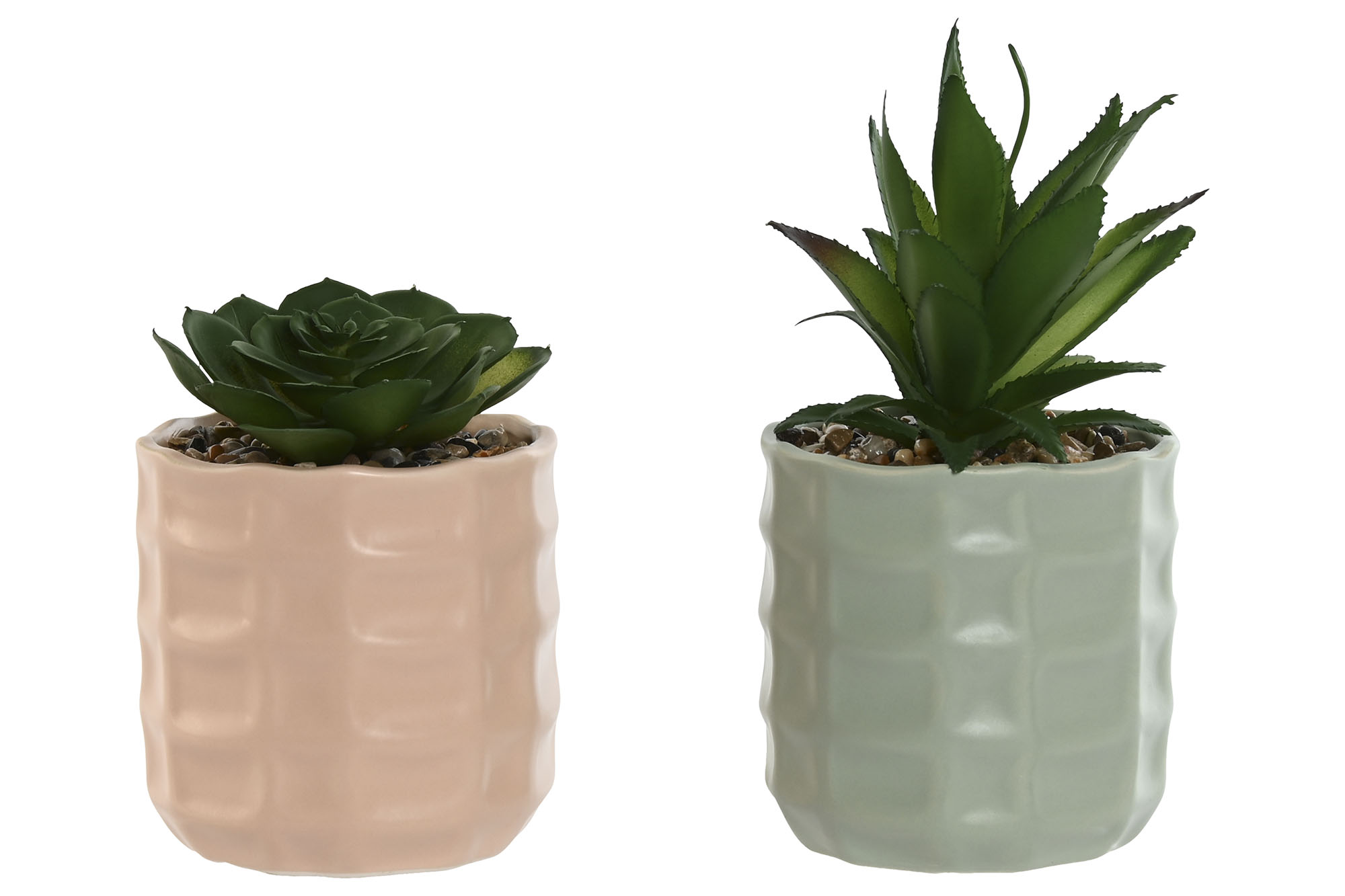 PLANTA DOLOMITE PE 10X10X20 10CM AQUA