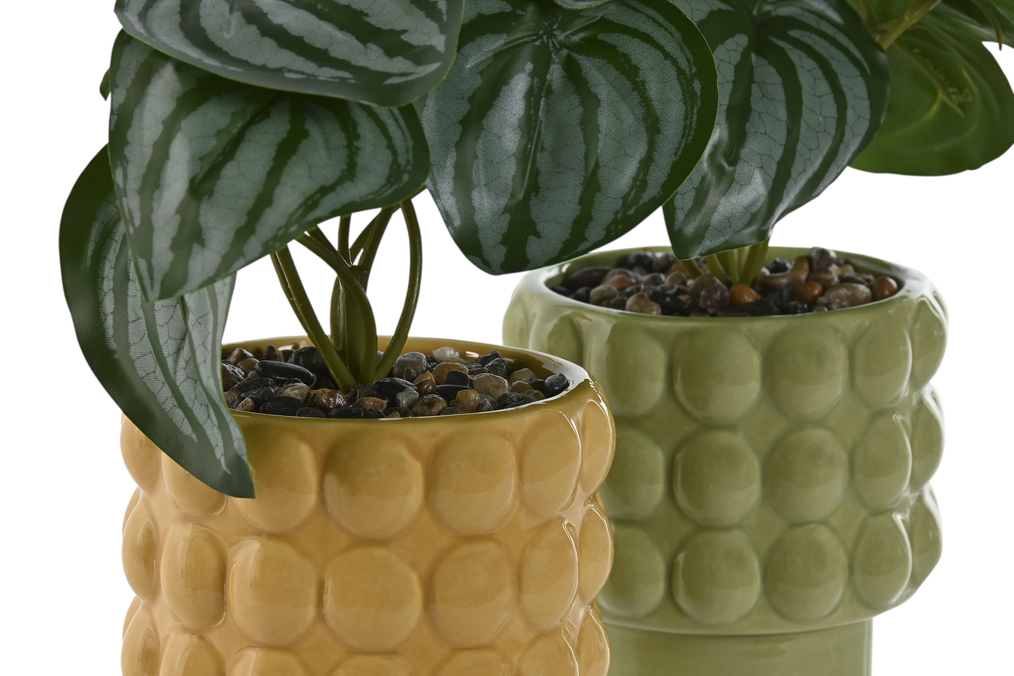 PLANTA DOLOMITE PE 9X9X19CM VERDE 2