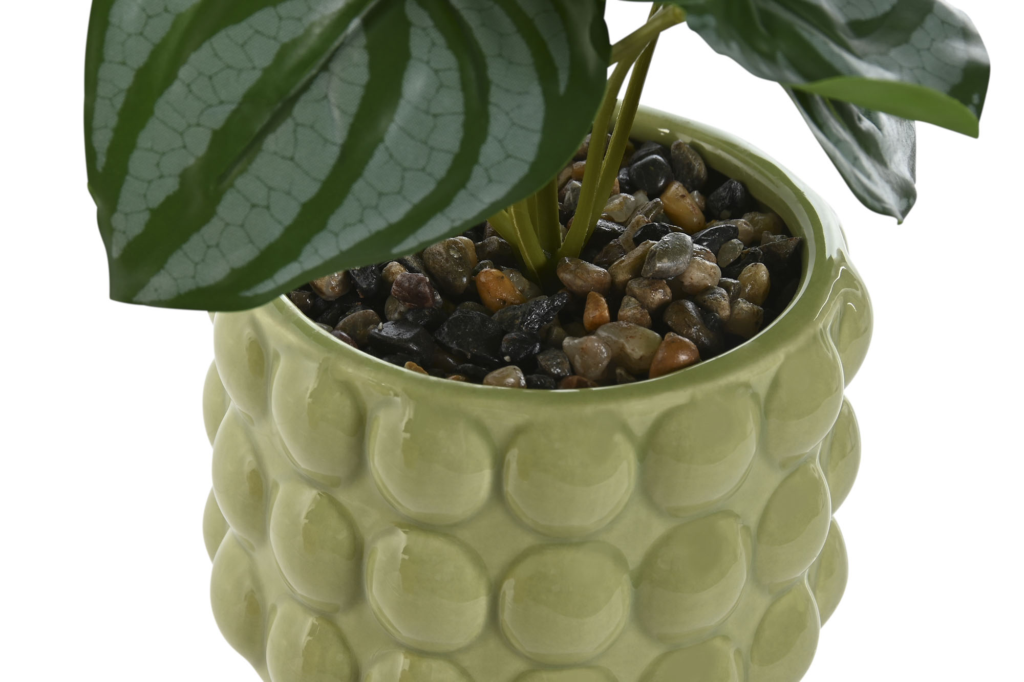 PLANTA DOLOMITE PE 9X9X19CM MOSTAZA 3