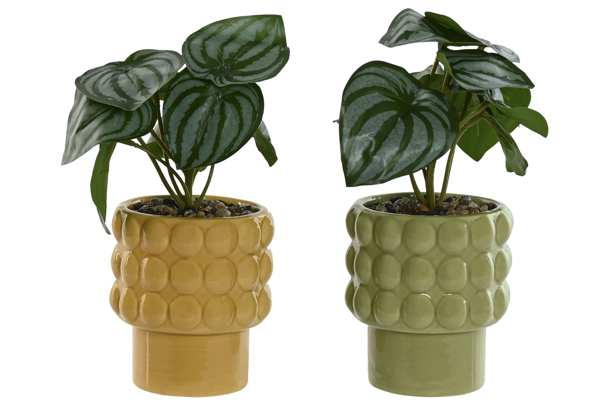 PLANTA DOLOMITE PE 9X9X19CM VERDE