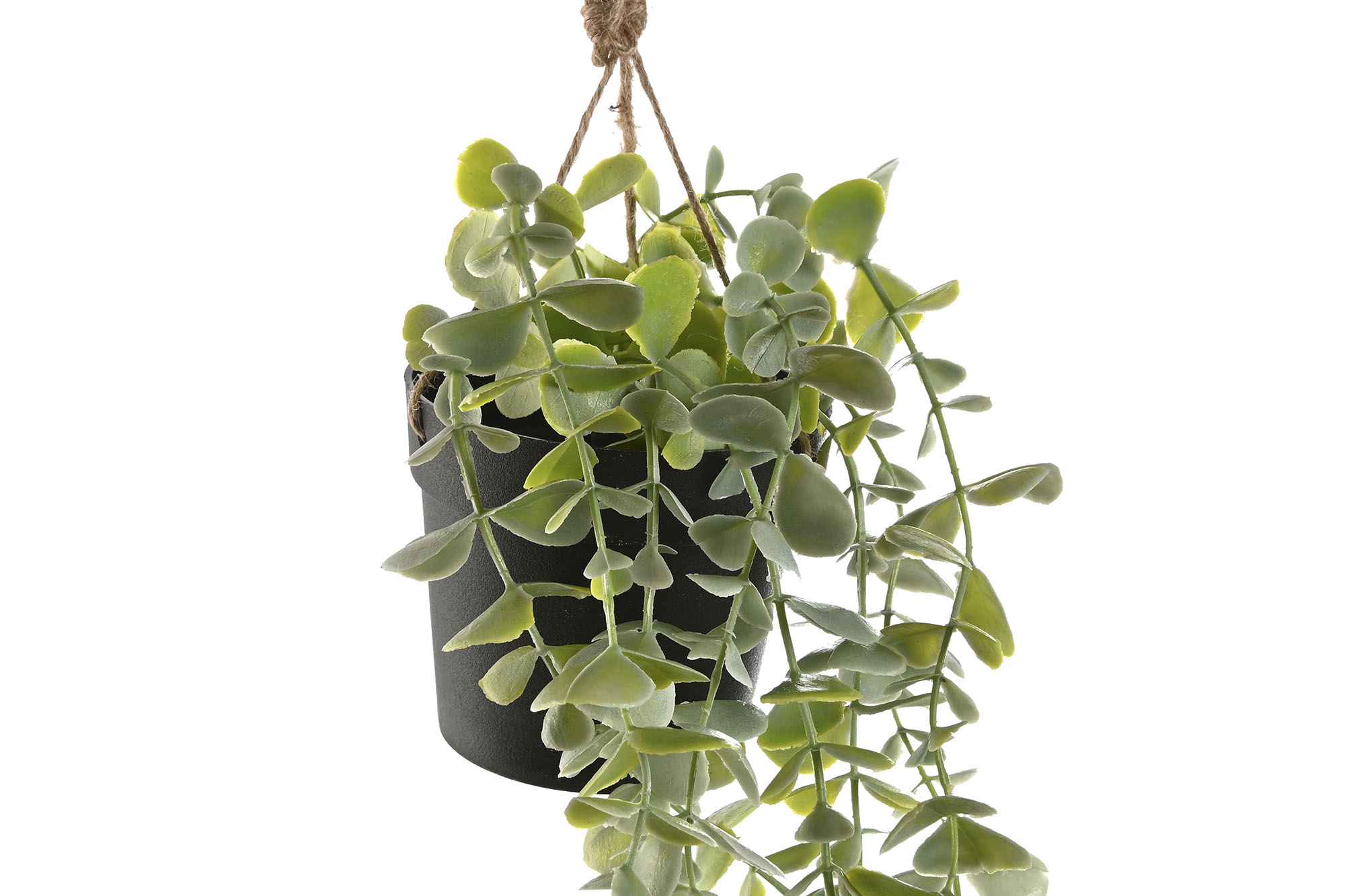 PLANTA PE 30X30X65 COLGANTE 2