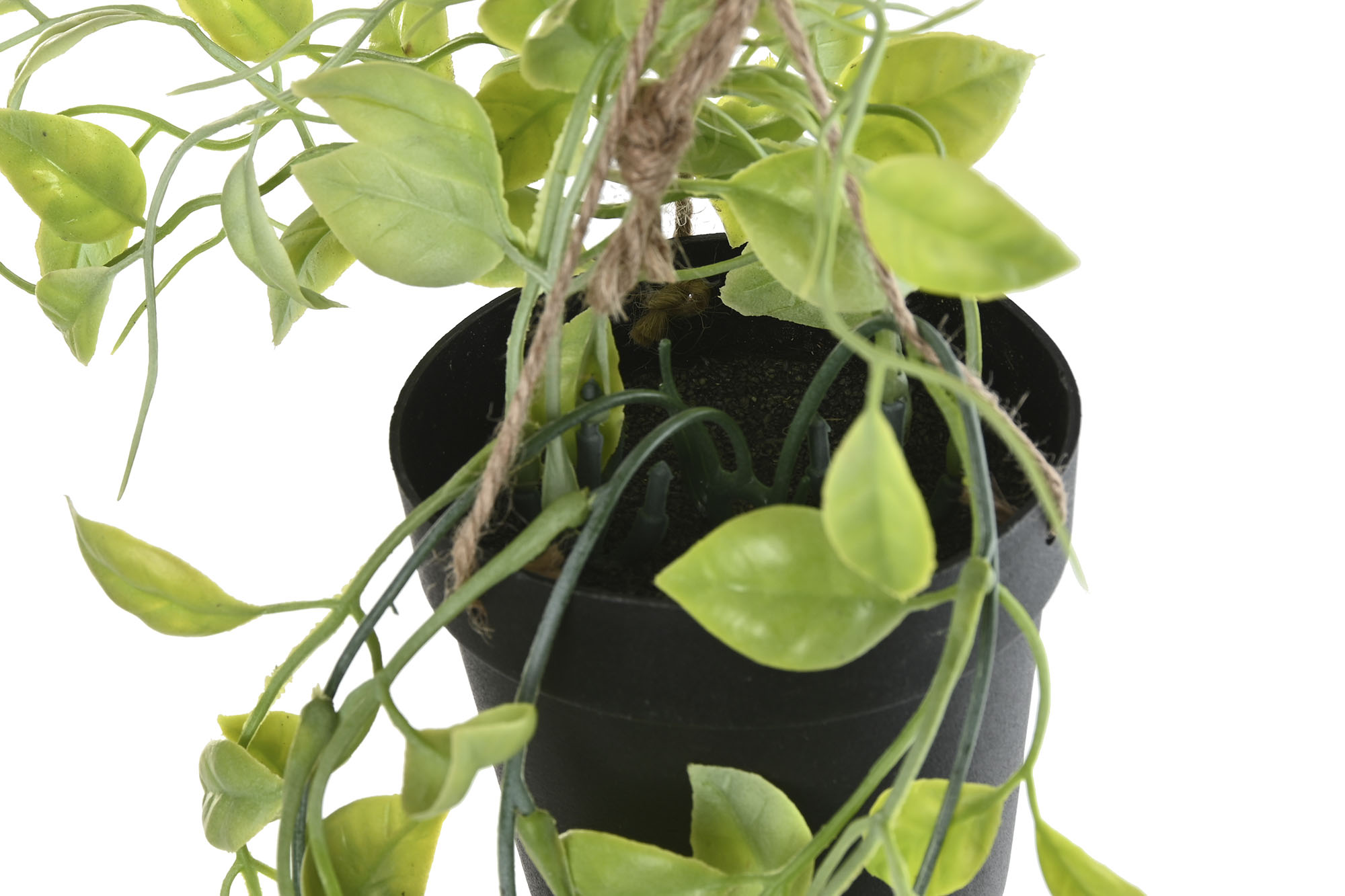 PLANTA PE 30X30X65 COLGANTE 3