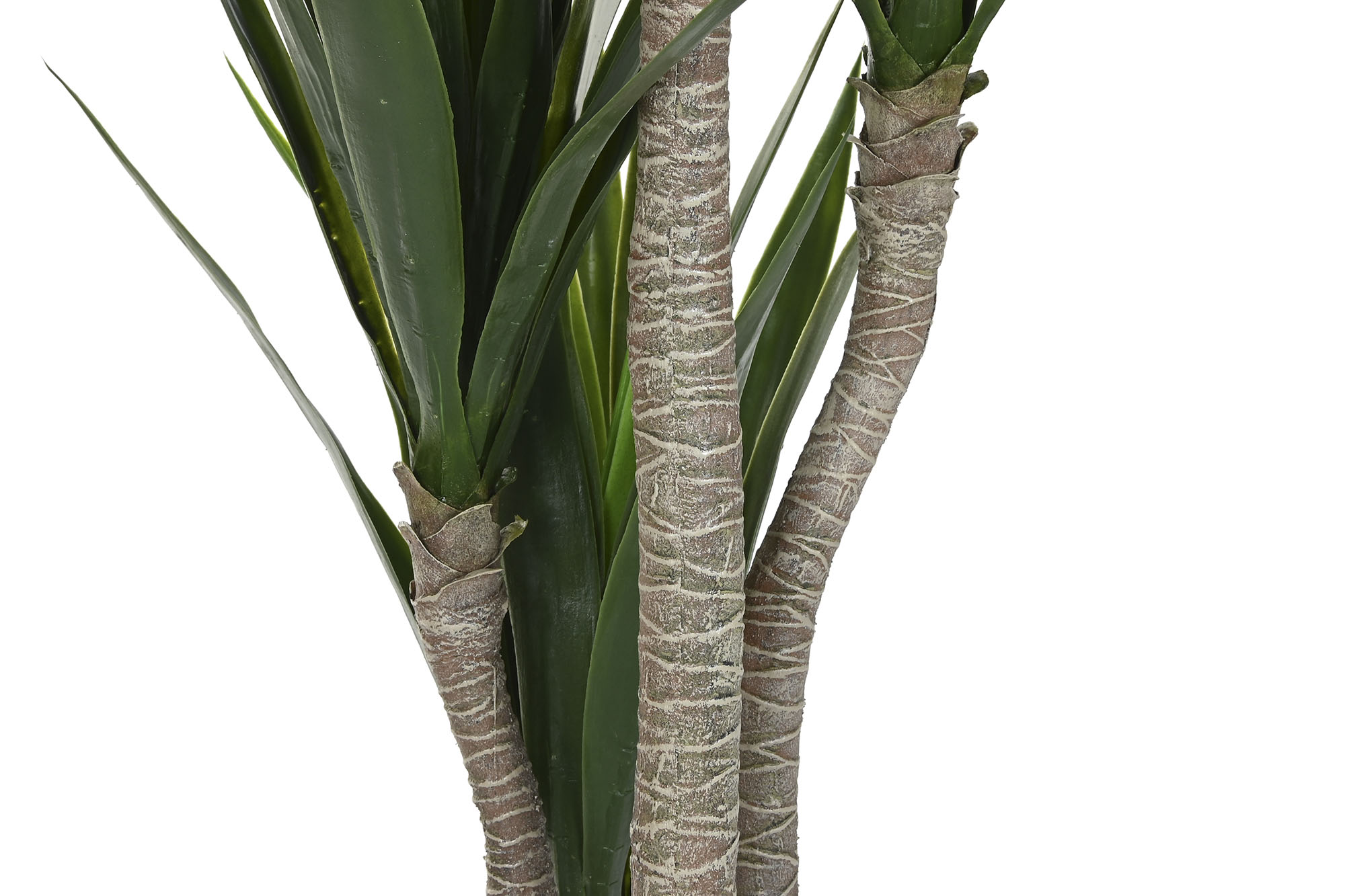 PLANTA PE 80X80X155 YUCA VERDE 3