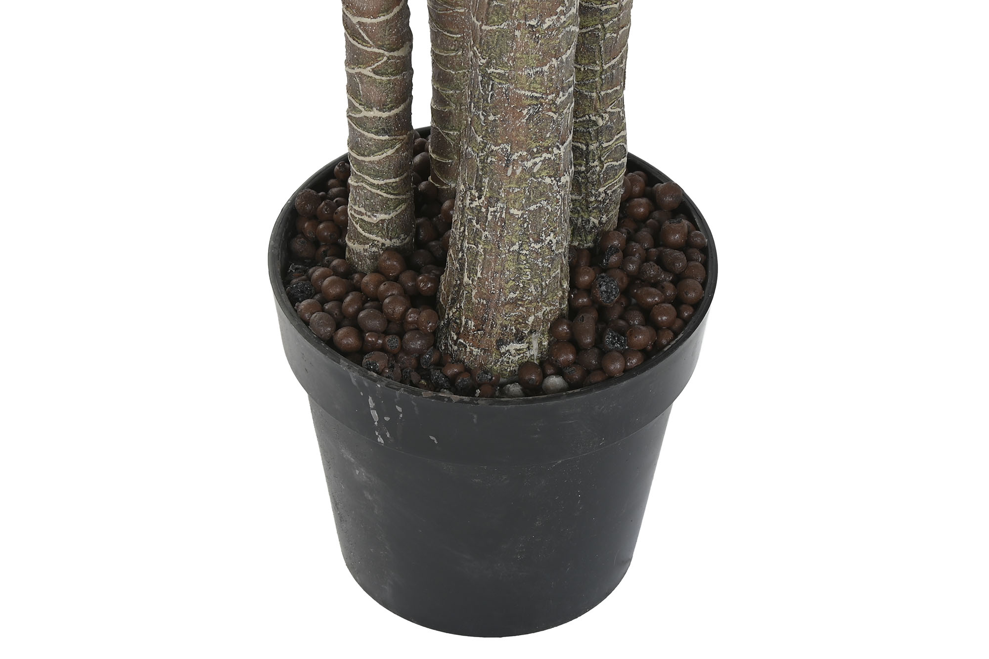 PLANTA PE 80X80X155 YUCA VERDE 4