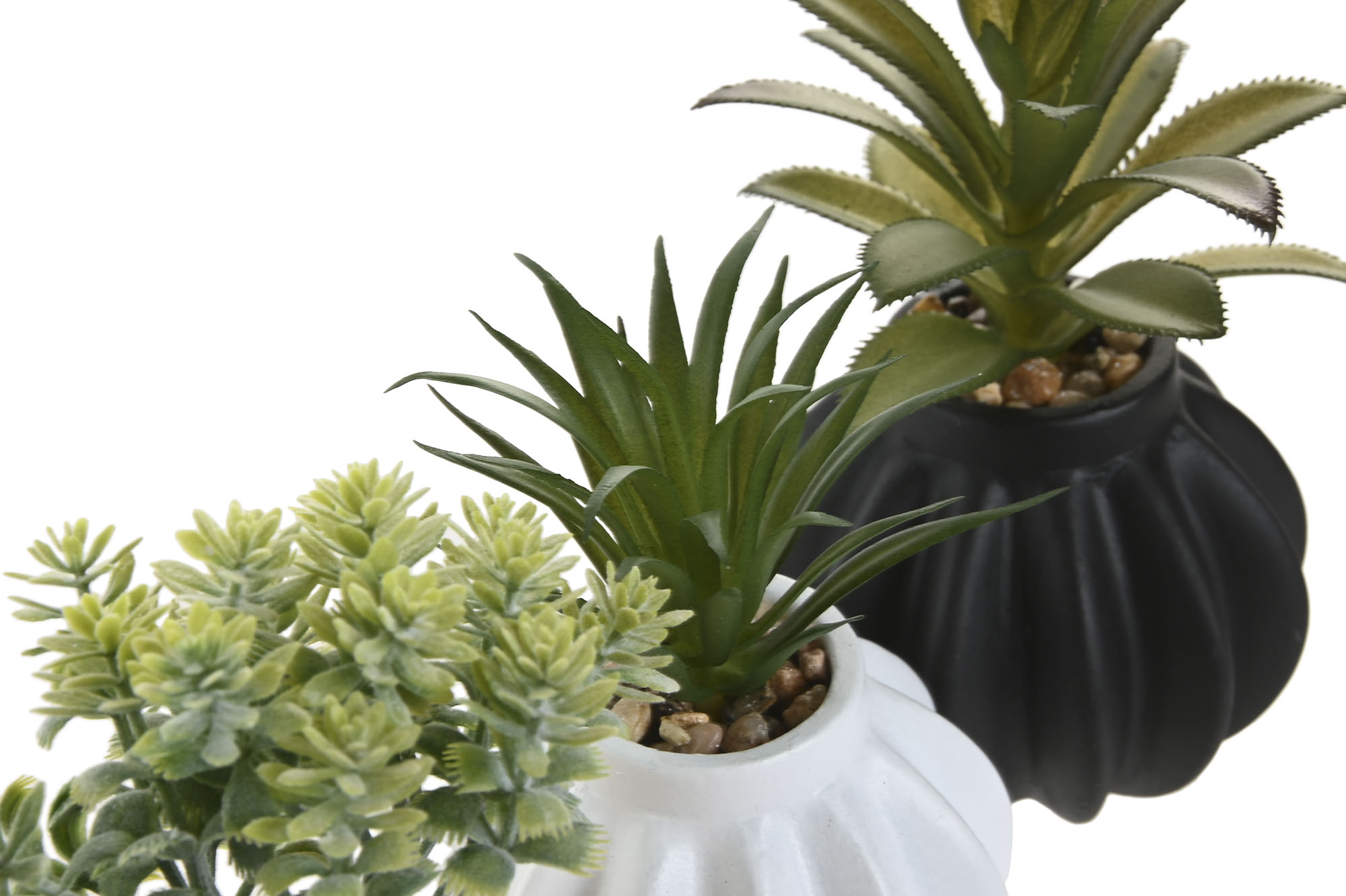 PLANTA PE CERAMICA 8X8X13CM NEGRO 3