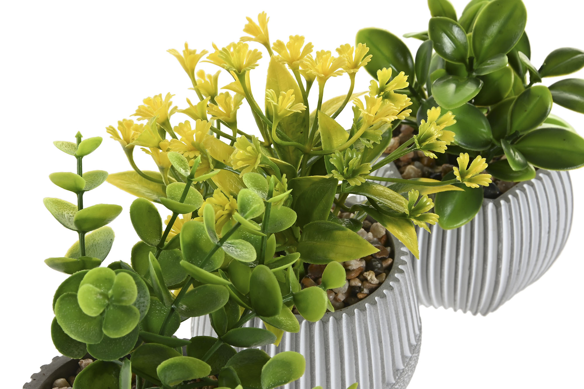 PLANTA PE CERAMICA 8X8X13CM 3