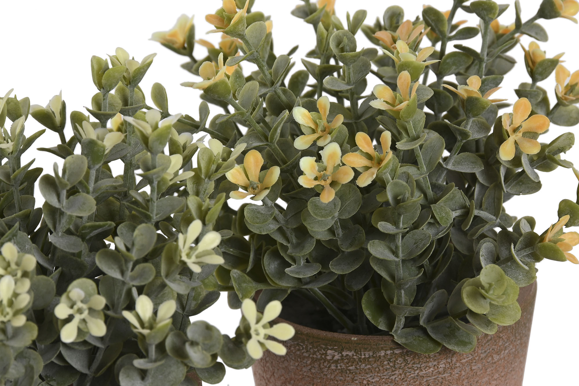 PLANTA PE CERAMICA 15X15X18,5CM VERDE 2