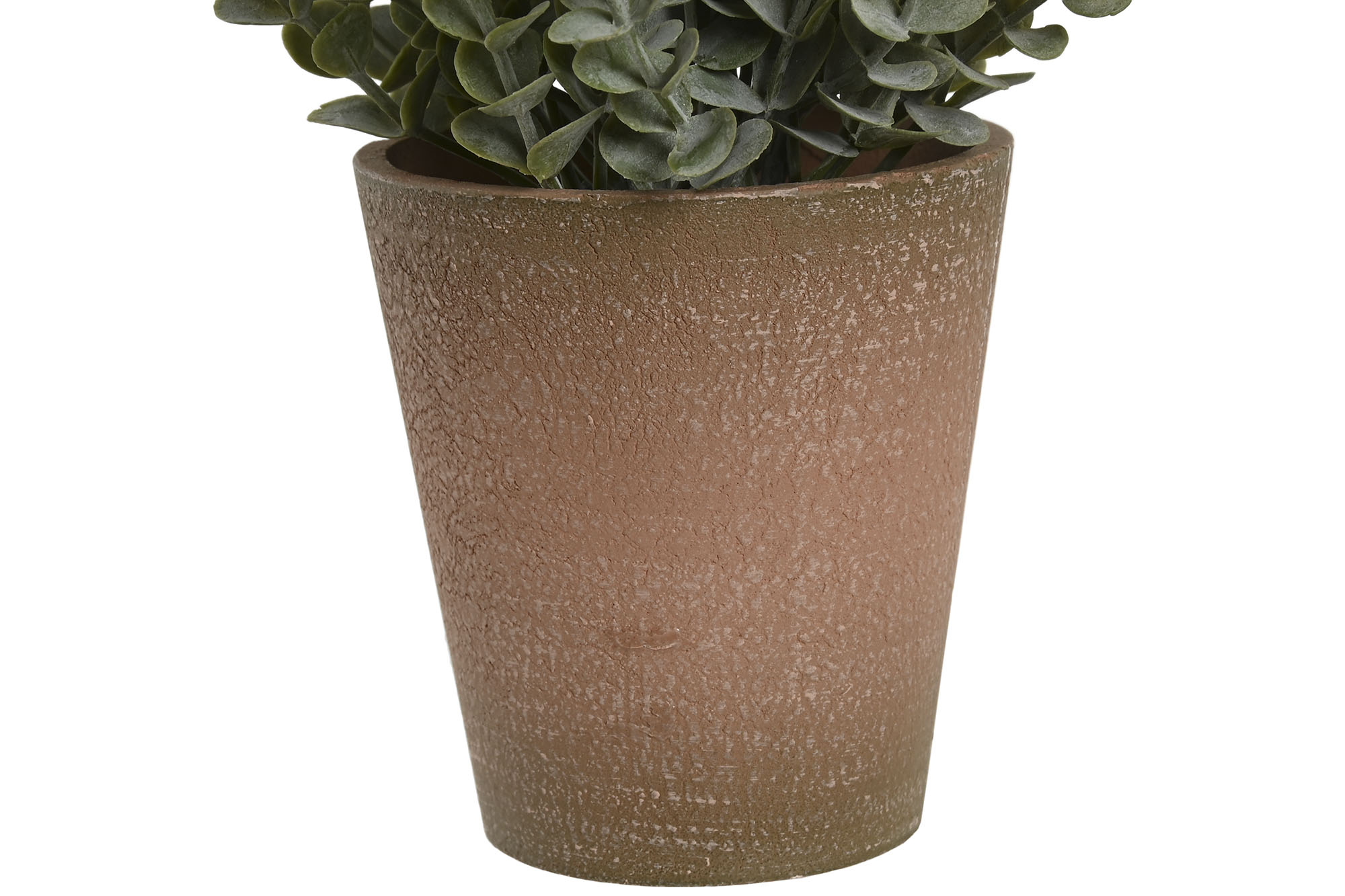 PLANTA PE CERAMICA 15X15X18,5CM VERDE 3