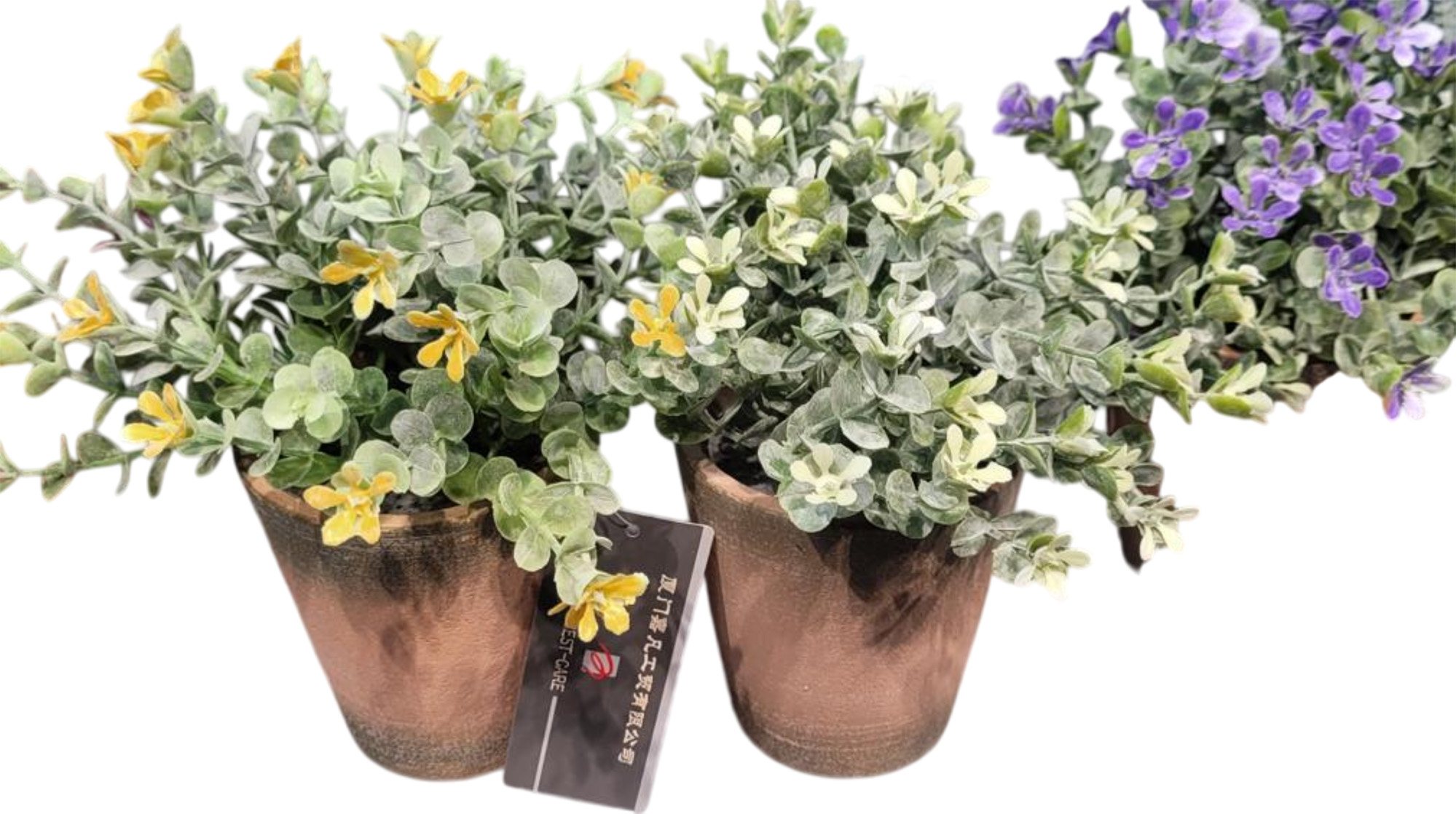 PLANTA PE CERAMICA 15X15X18,5CM VERDE
