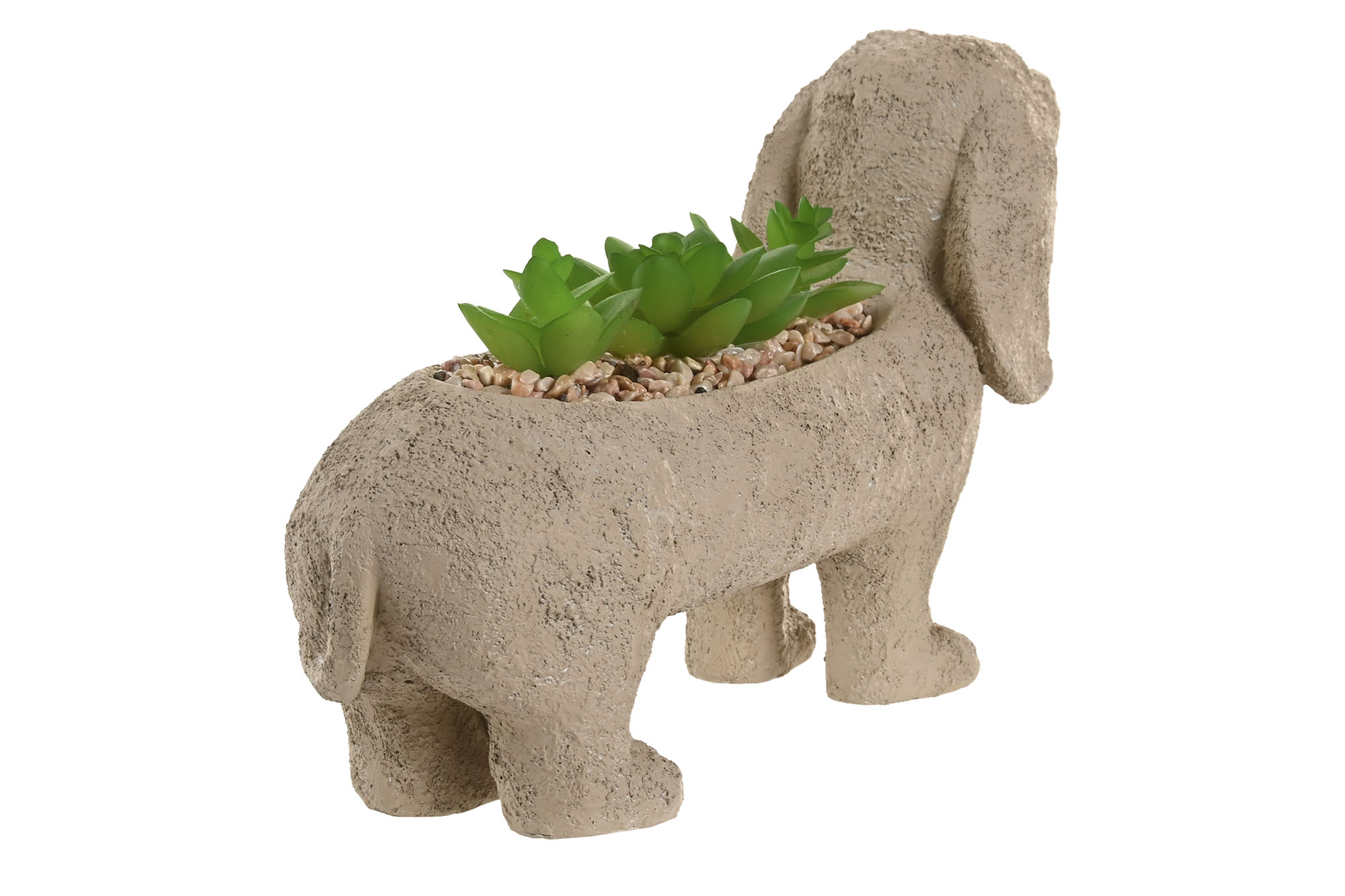 PLANTA RESINA PE 31X8X15,5 PERRO BEIGE 4