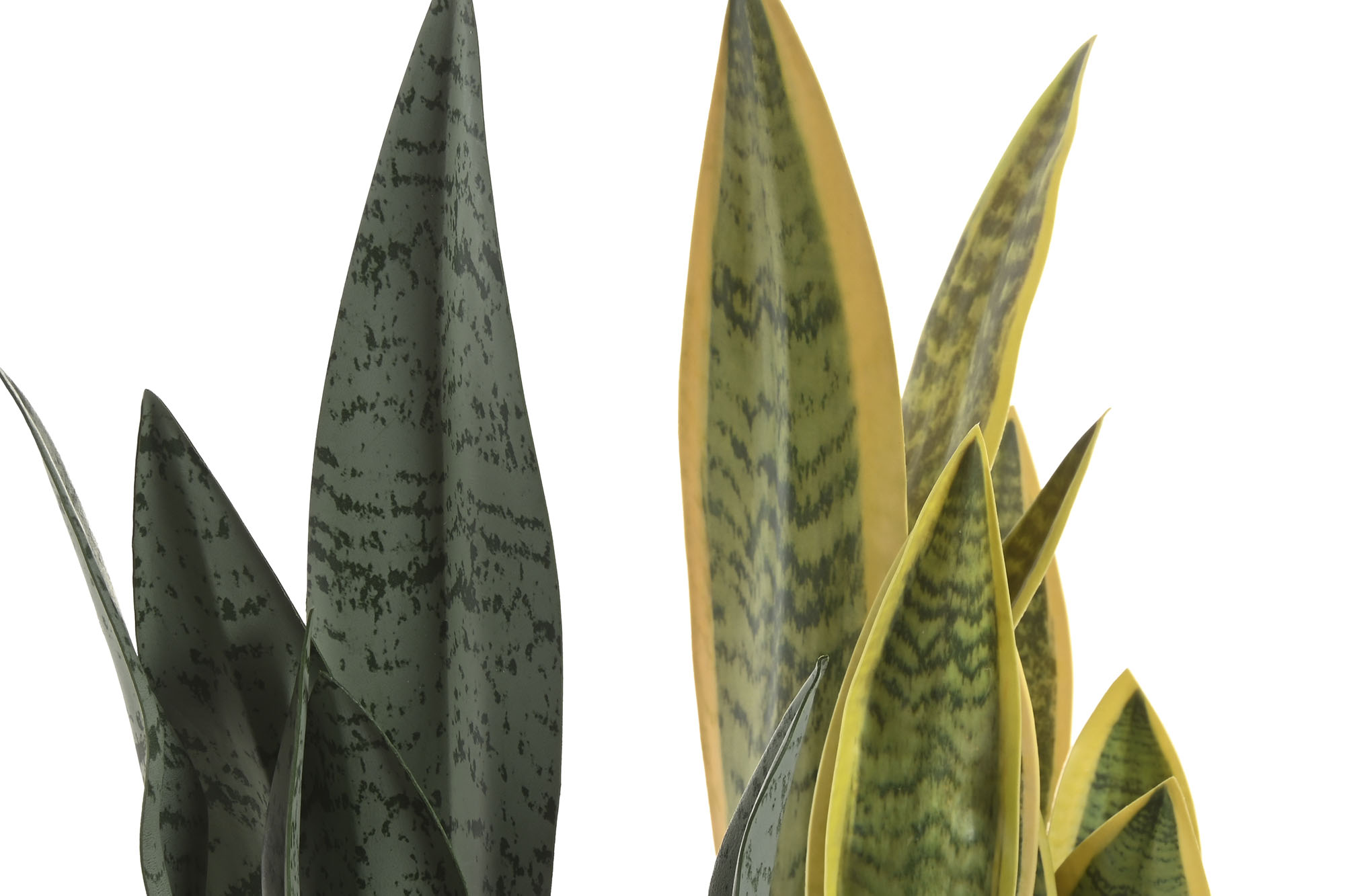 PLANTA PE FIBRA 13X13X35 SANSEVIERA VERDE/AMAR 2