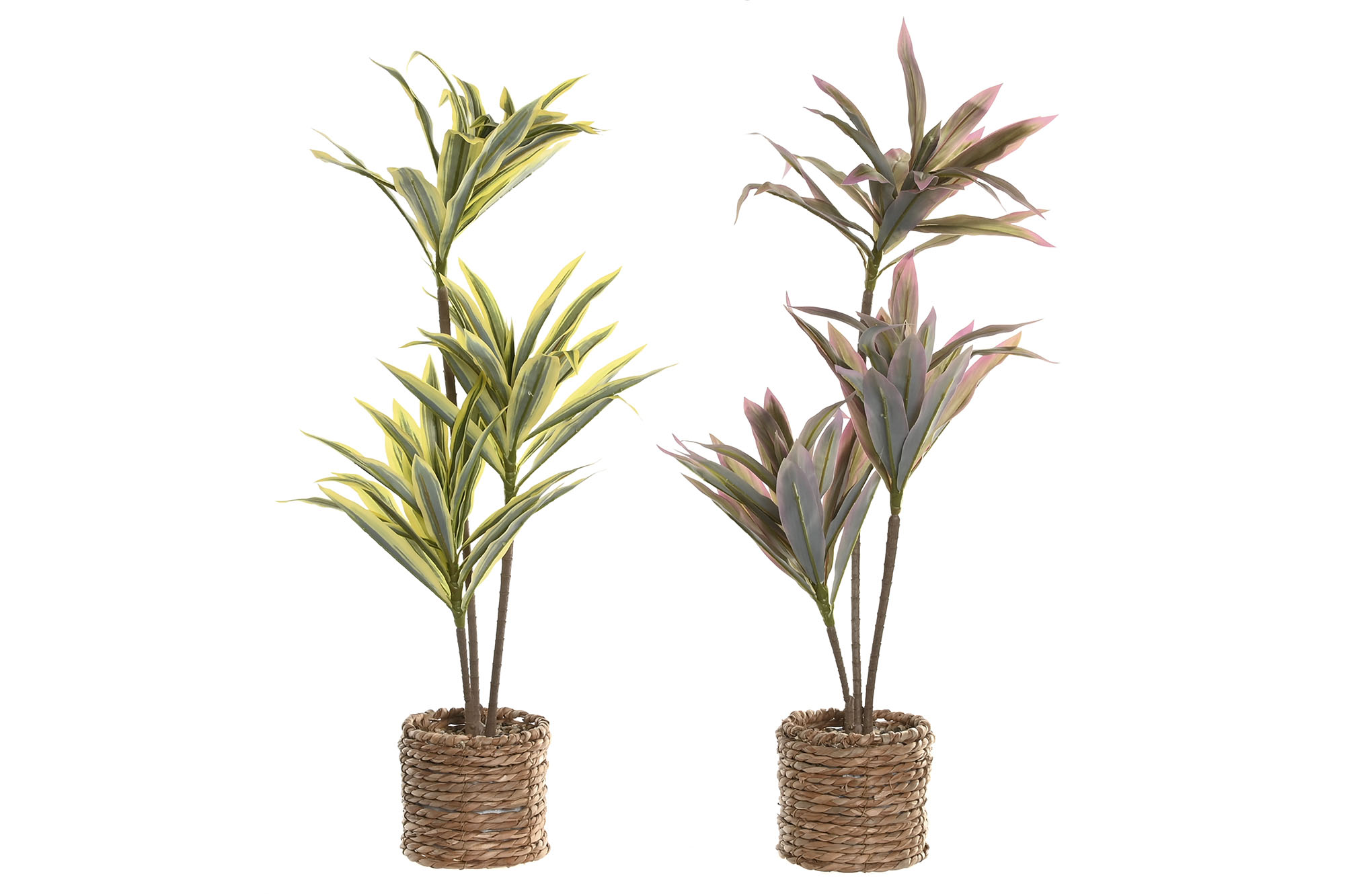 PLANTA PE FIBRA 30X30X75CM MALVA