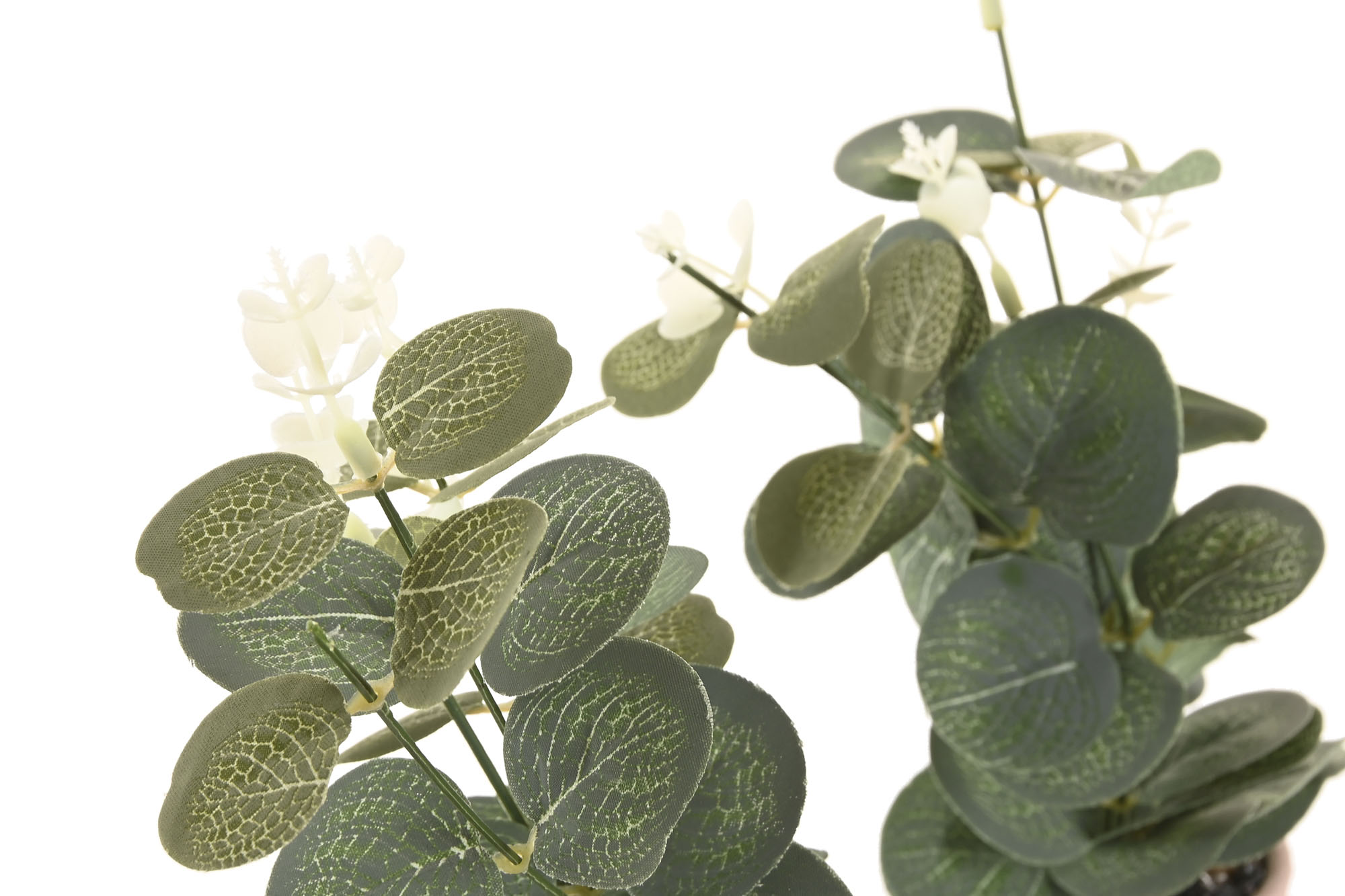 PLANTA CERAMICA 12,5X12,5X36 EUCALIPTO ROSA 2