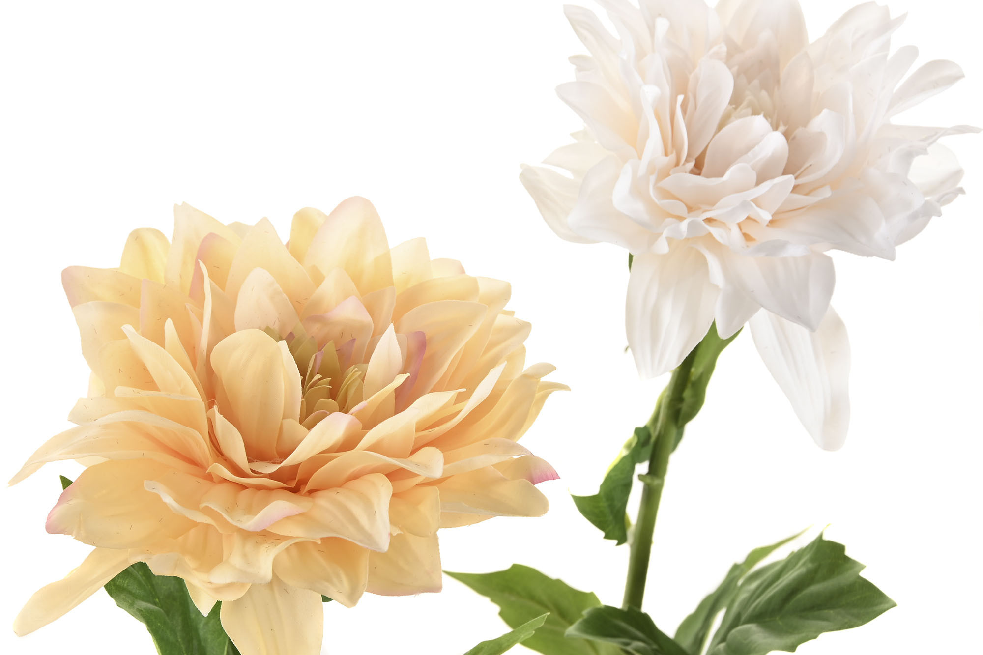 FLOR SEDA PE 14X14X62 DALIA BLANCA 2