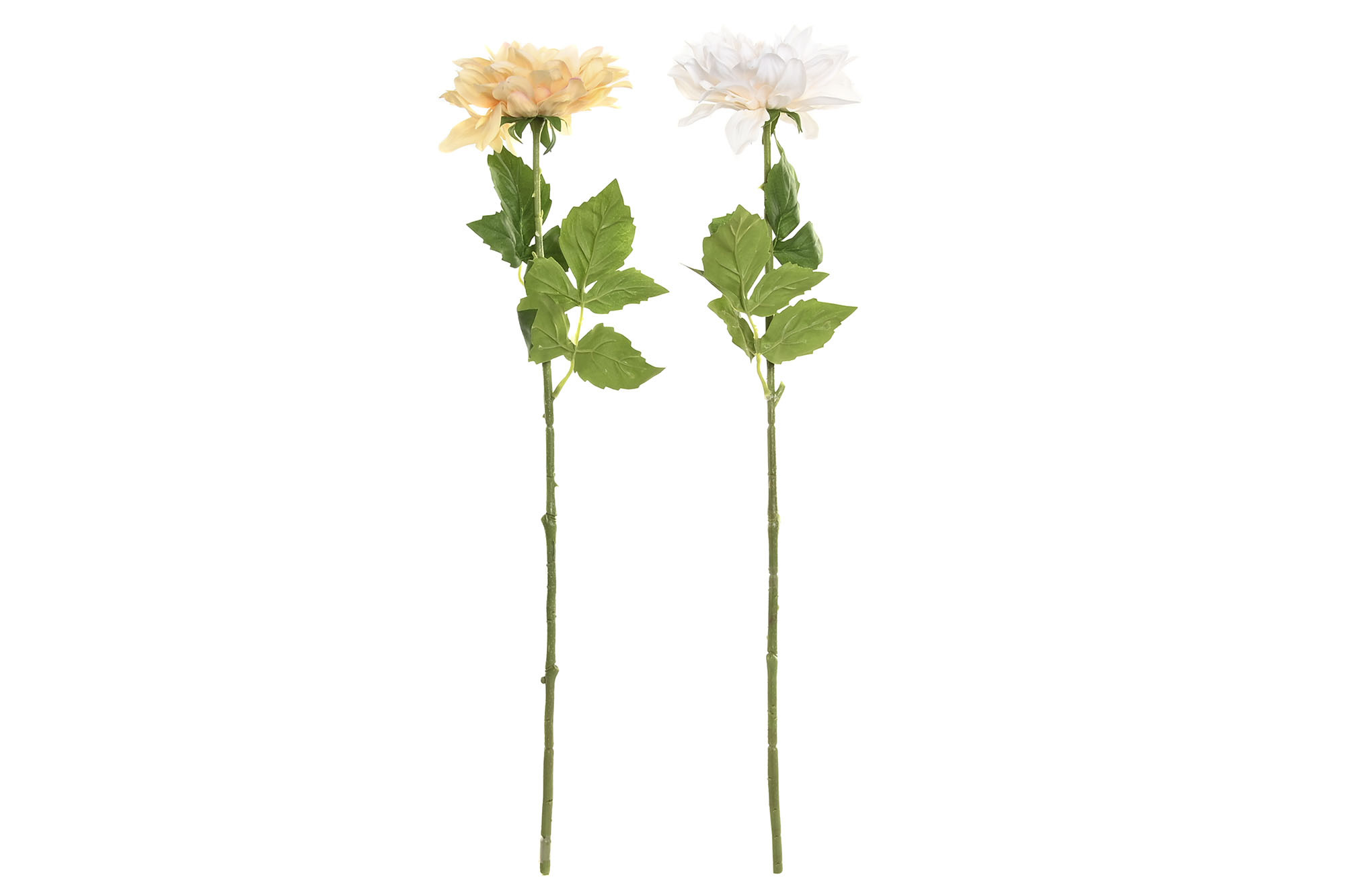 FLOR SEDA PE 14X14X62 DALIA BLANCA 3