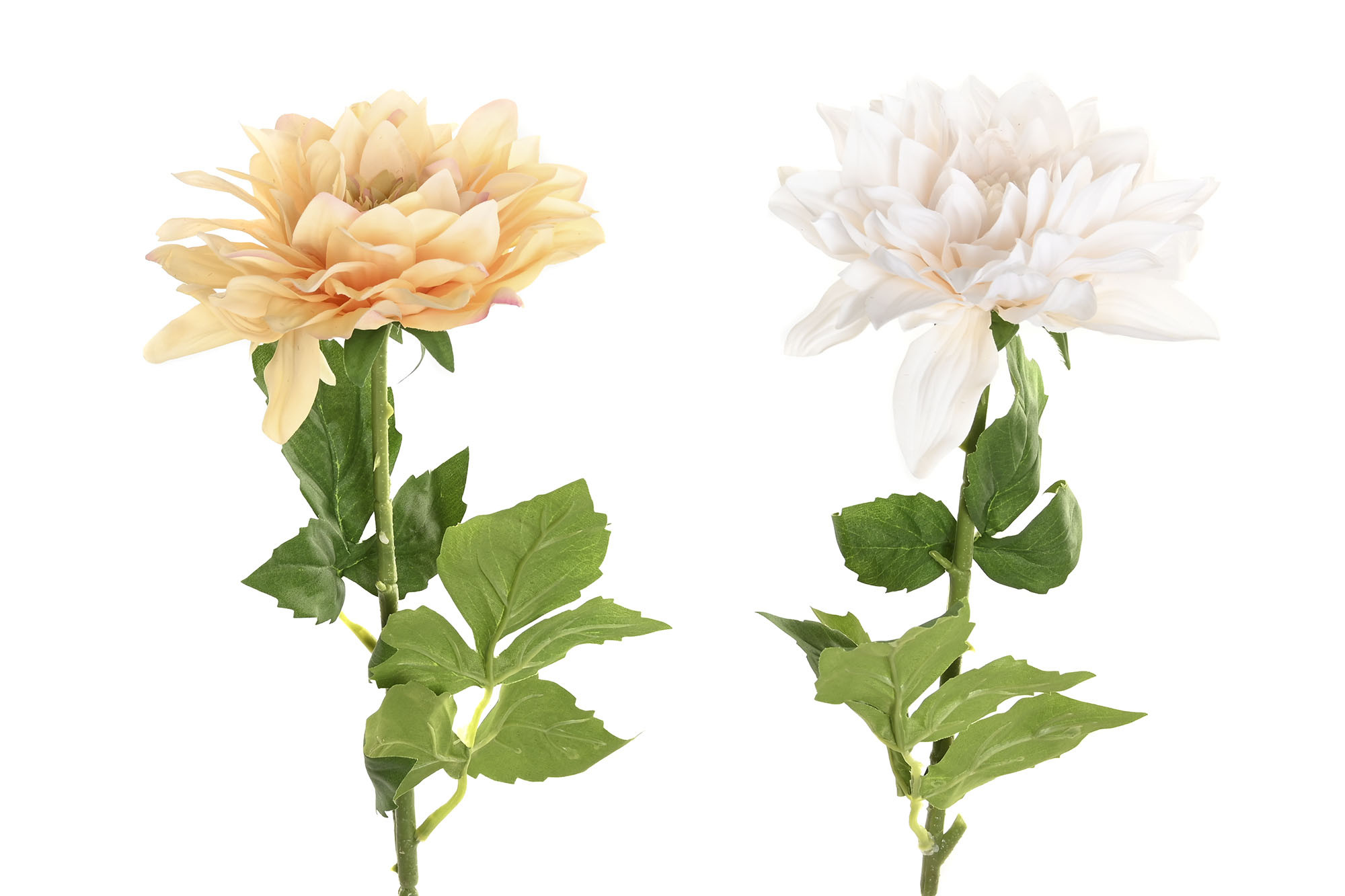 FLOR SEDA PE 14X14X62 DALIA BLANCA
