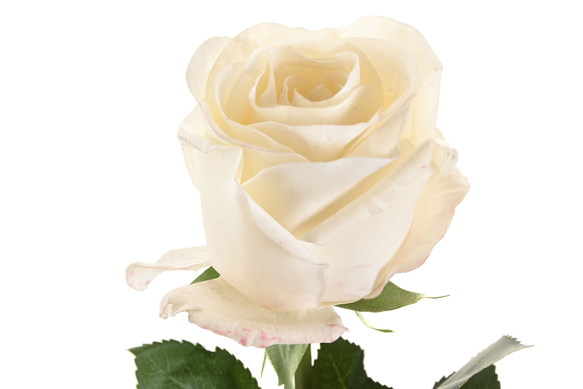 FLOR SEDA PE 9X9X67 TACTO REAL BLANCO 2