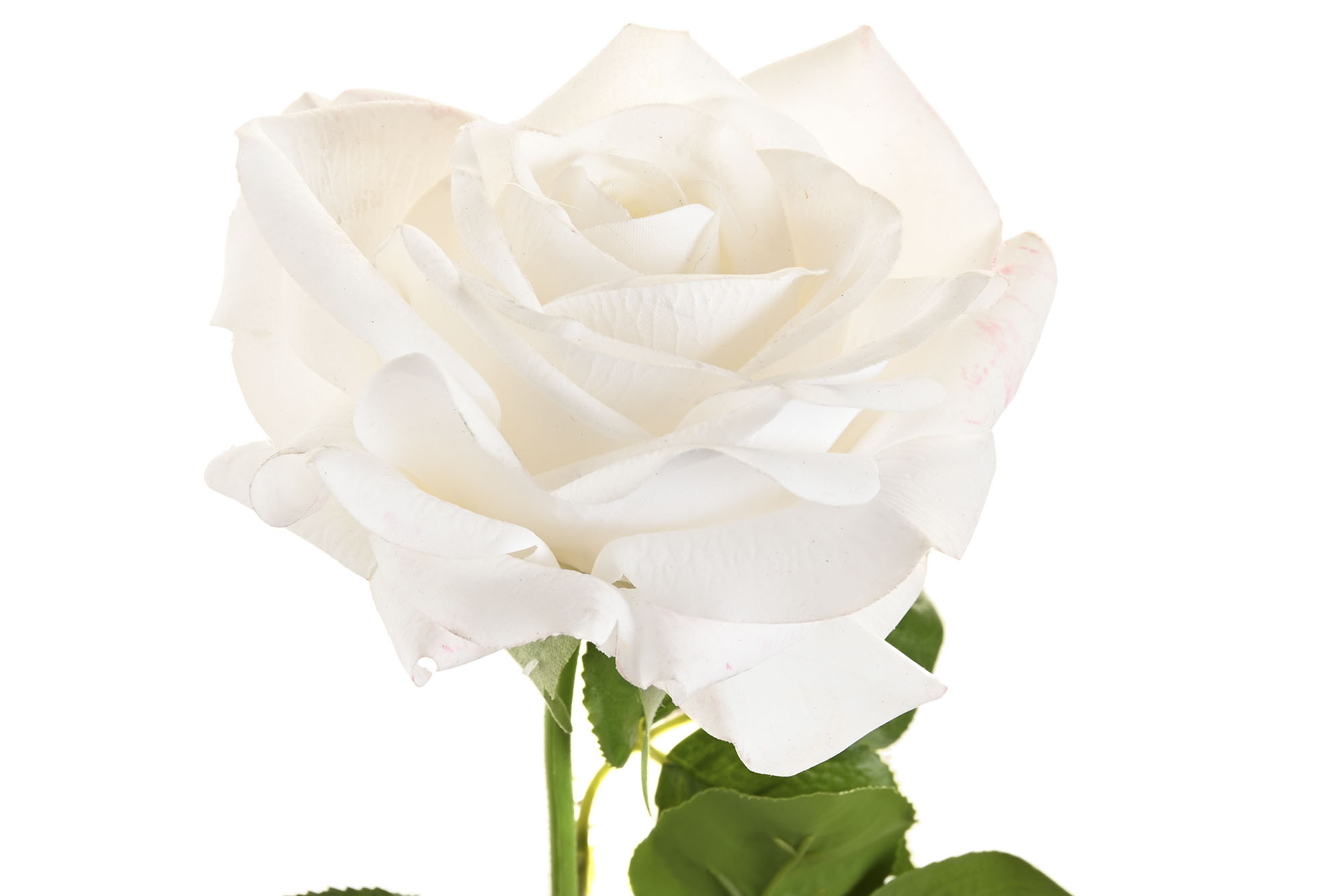 FLOR SEDA PE 15X15X66 TACTO REAL BLANCO 2