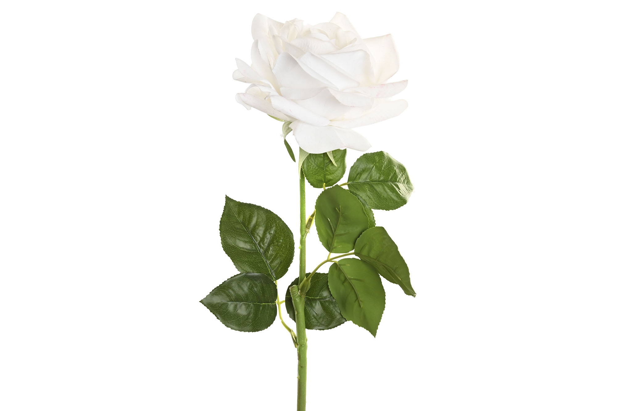 FLOR SEDA PE 15X15X66 TACTO REAL BLANCO