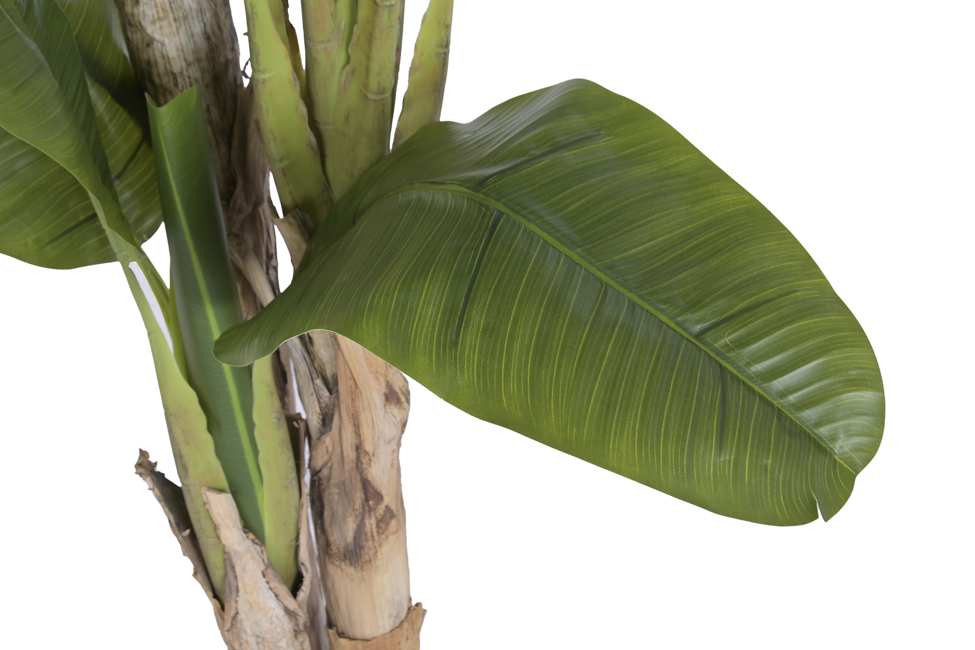 ARBOL PE FIBRA 80X75X180 BANANERO VERDE 3