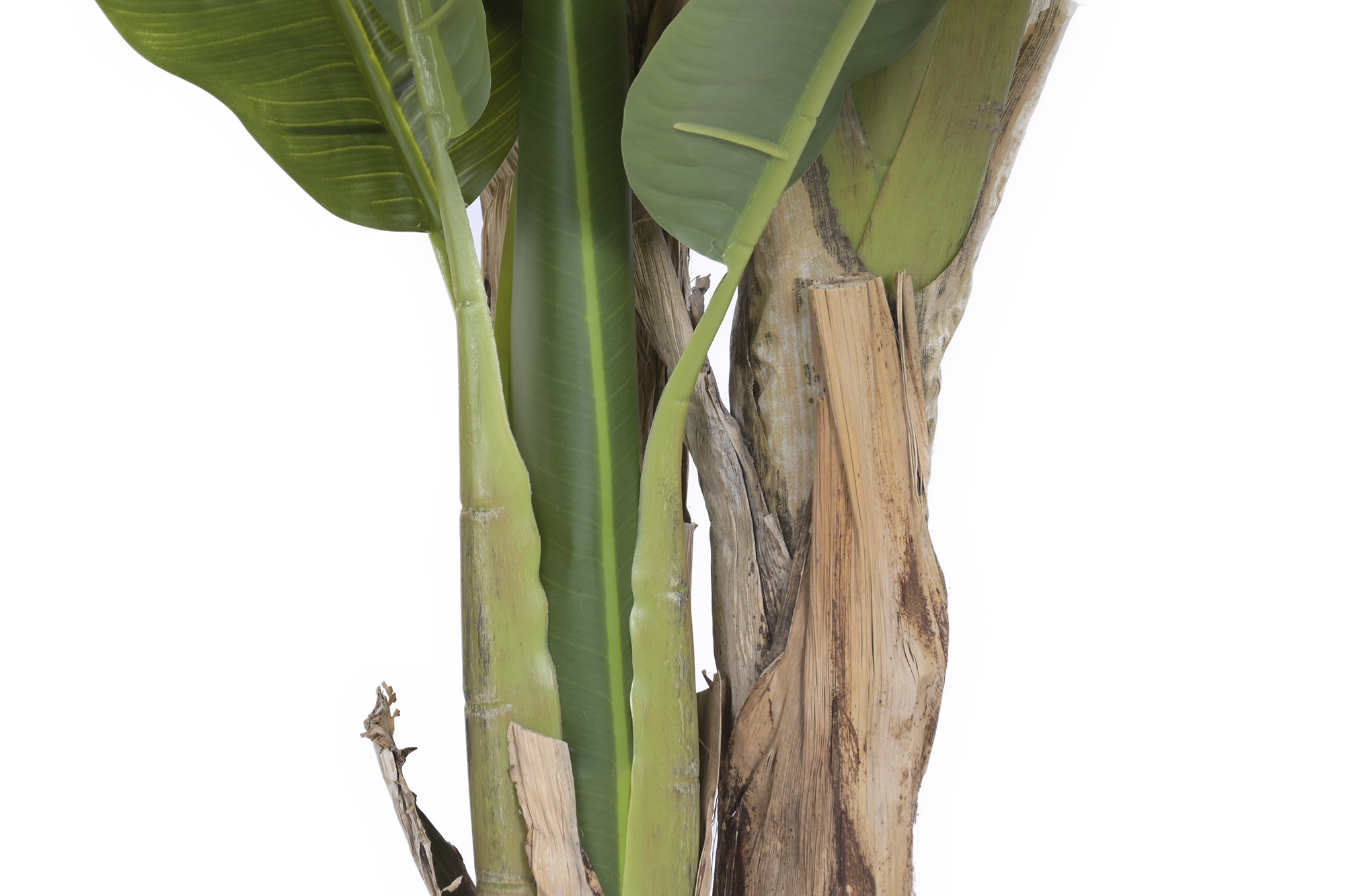 ARBOL PE FIBRA 80X75X180 BANANERO VERDE 5