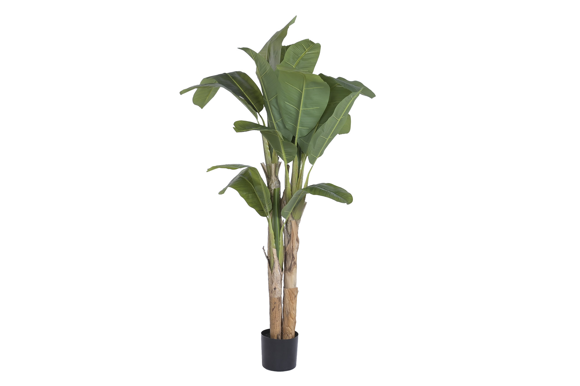 ARBOL PE FIBRA 80X75X180 BANANERO VERDE 2