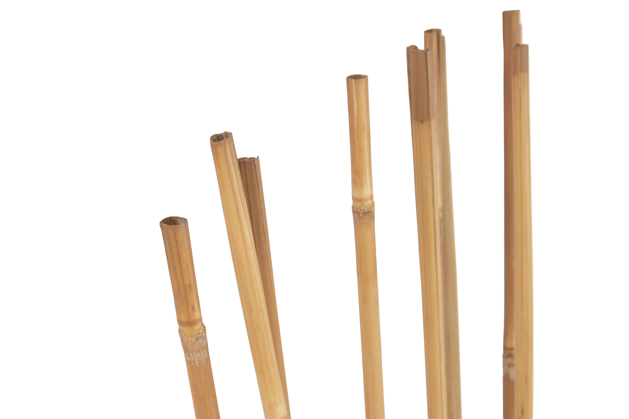 RAMA SET 10 BAMBU 7X7X150 NATURAL 3