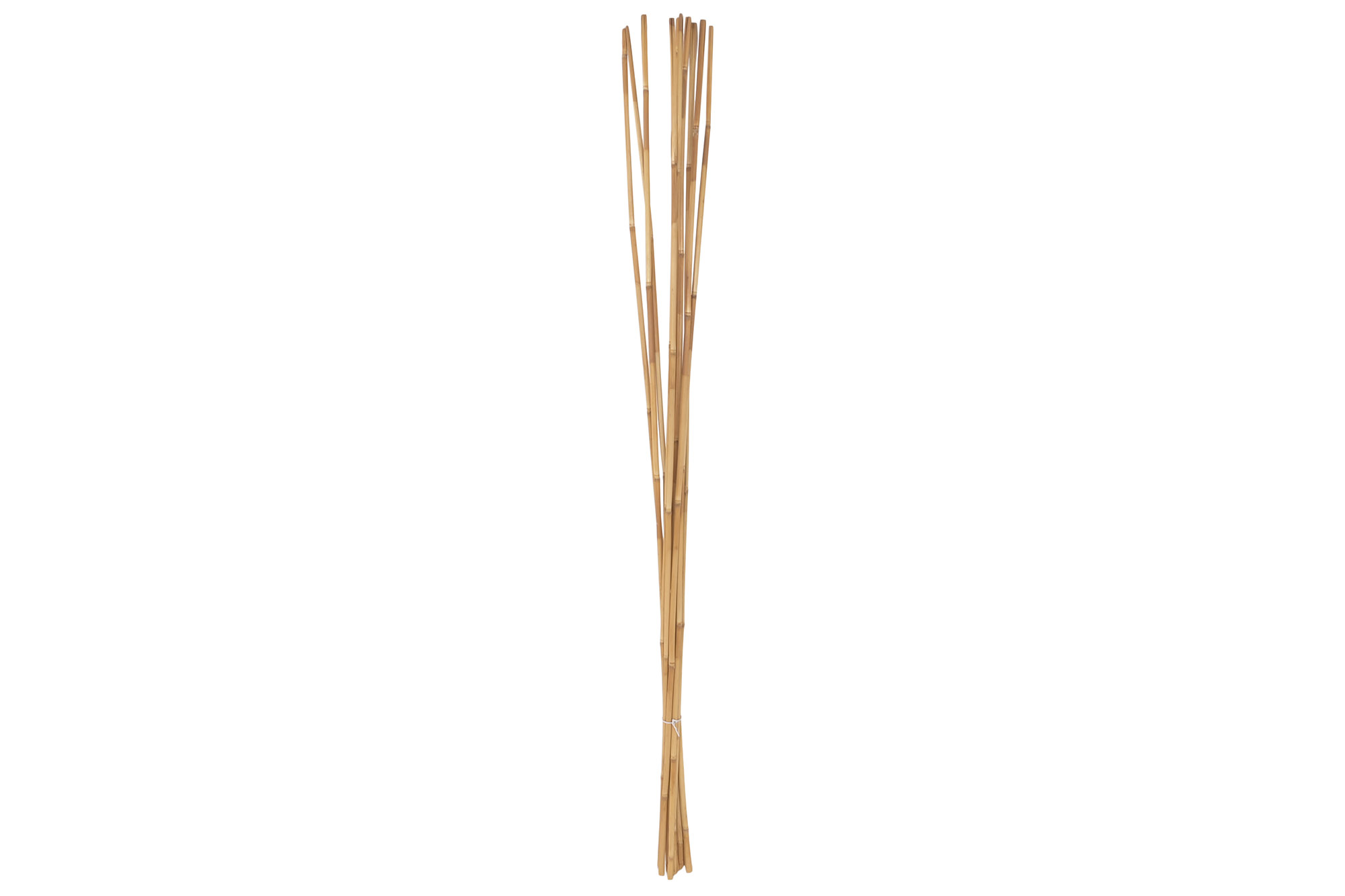 RAMA SET 10 BAMBU 7X7X150 NATURAL 4