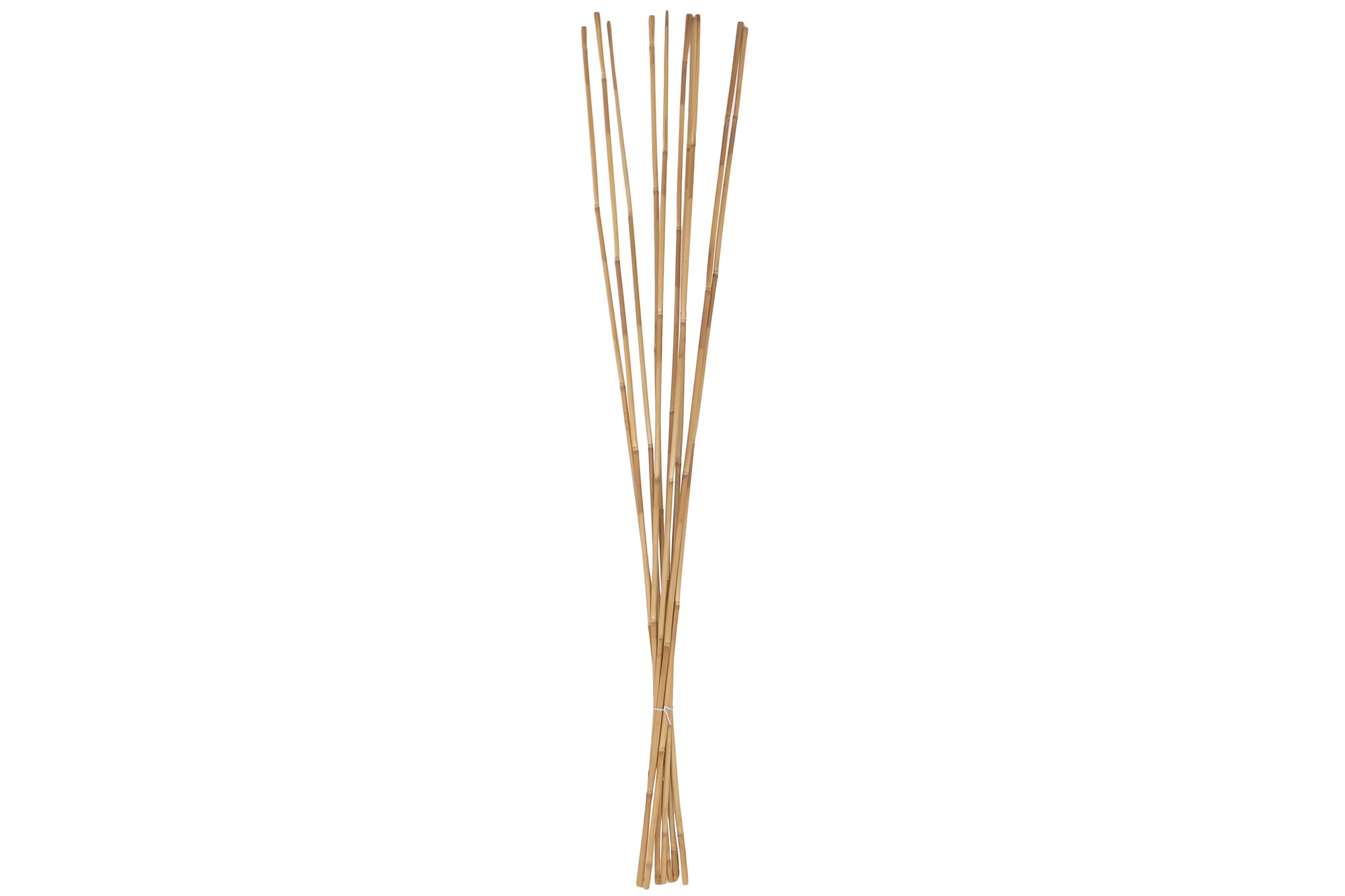 RAMA SET 10 BAMBU 7X7X150 NATURAL