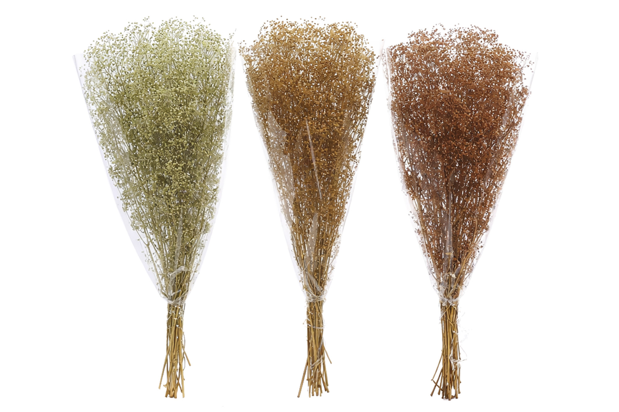 RAMO FLOR PRESERVADA 50GR GYSOPHILA MINI VERDE