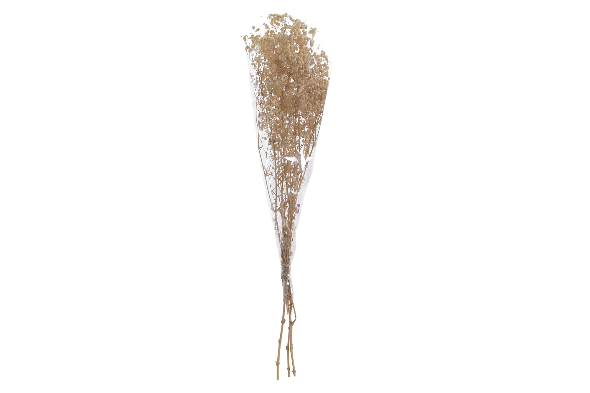 RAMO FLOR PRESERVADA 50GR GYSOPHILA BOLA