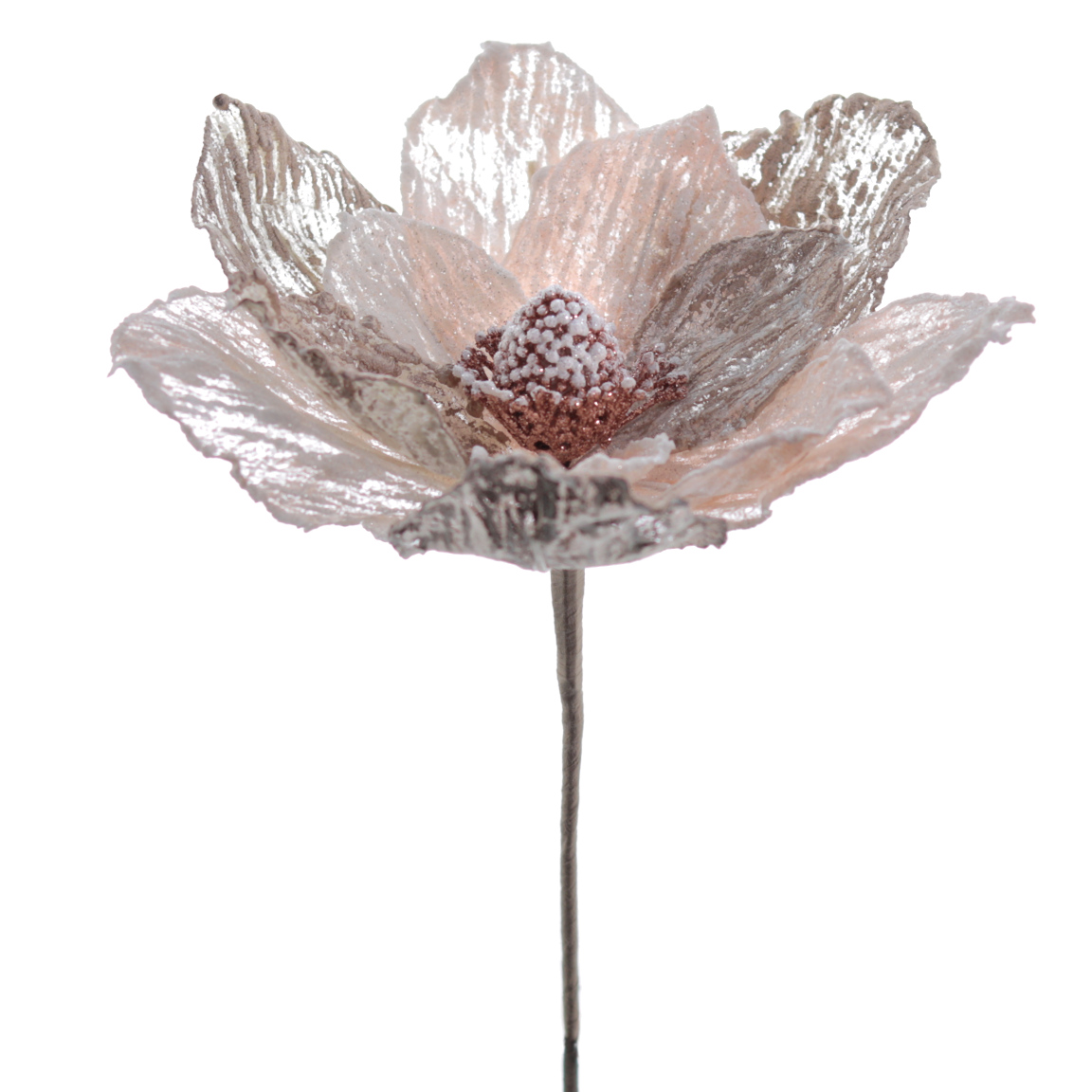 MAGNOLIA COLECCIÓN ORGANZA 20 CMS CHAMPAN