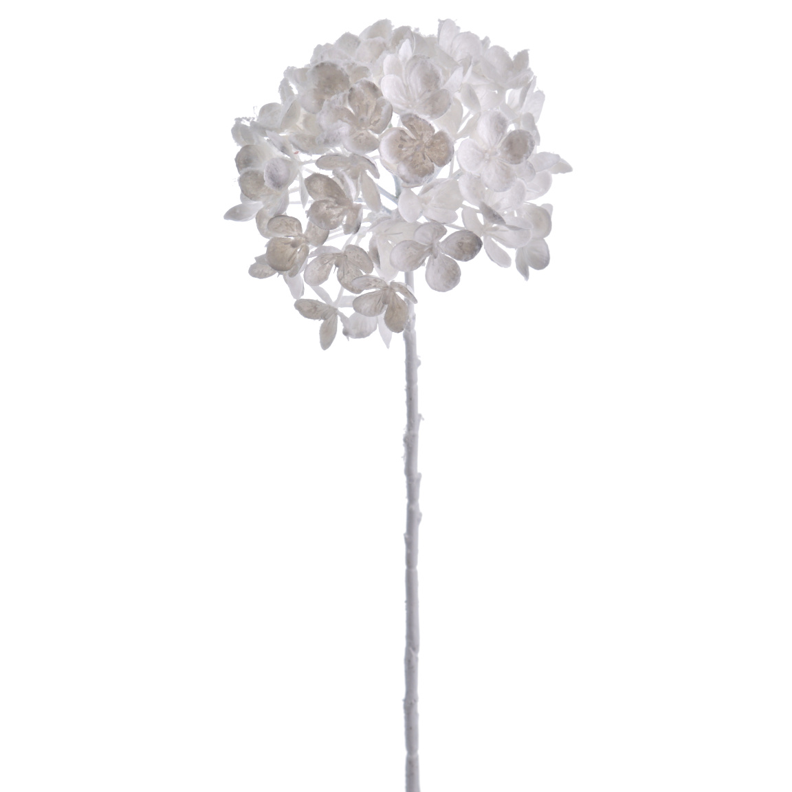 HYDRANGEA COLECCIÓN SNOW BLANCO