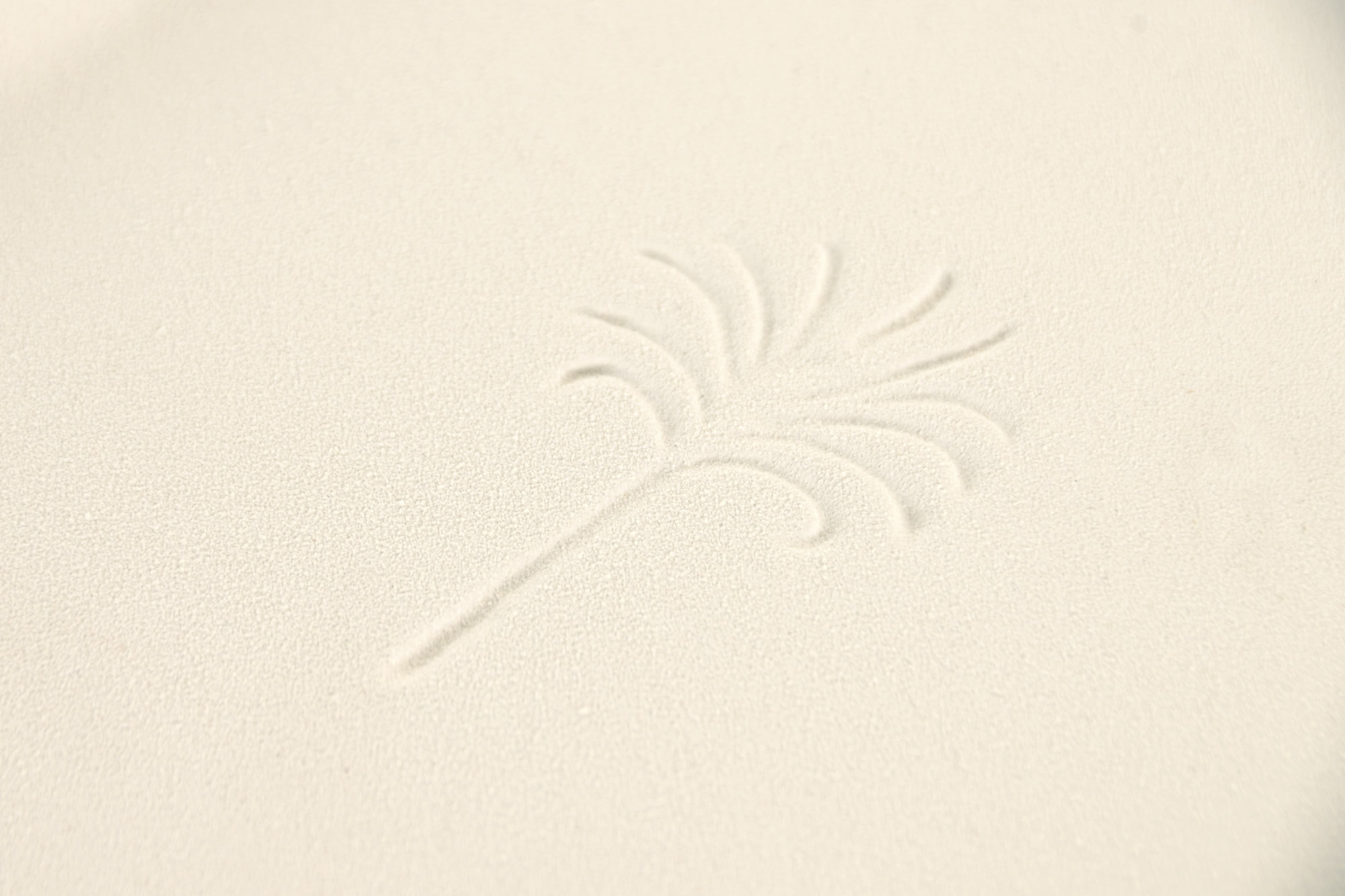 BANDEJA CERAMICA 28X20X2,5 BLANCO 2