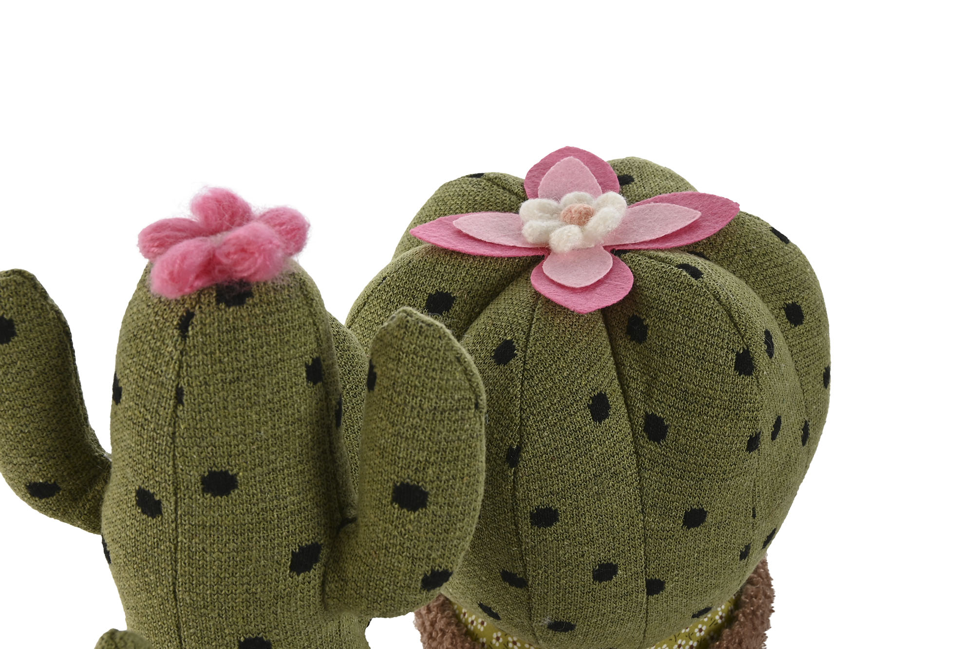 SUJETAPUERTAS POLIESTER 18X18X29 CACTUS 3