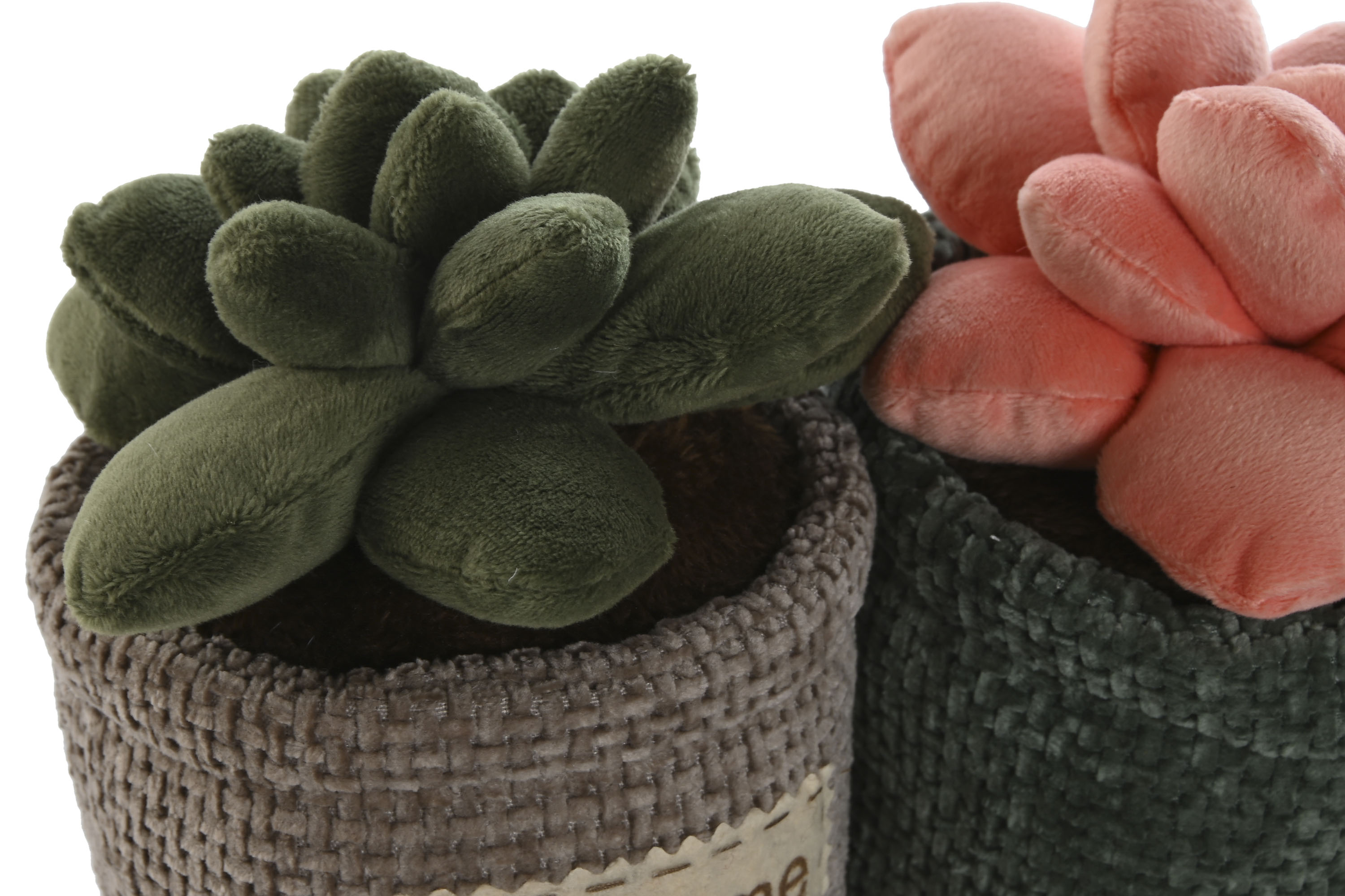 SUJETAPUERTAS POLIESTER 12X12X18 1,5 KG, CACTUS VE 3