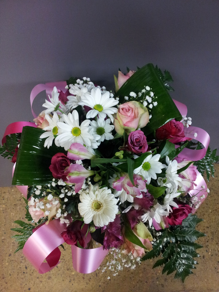 Gerbera 1
