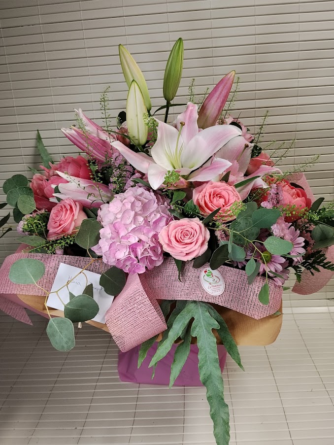 HORTENSIA ROSA 1