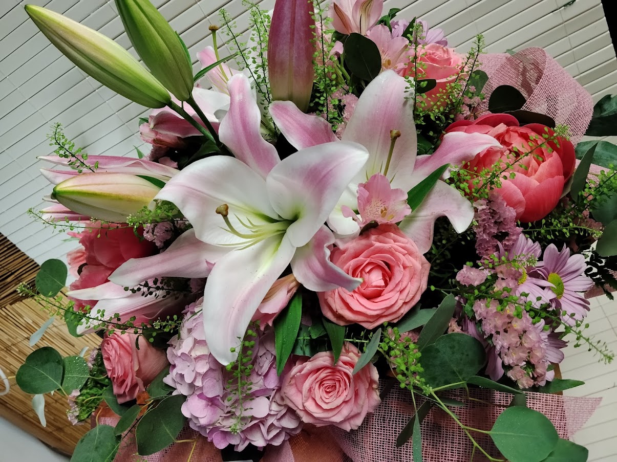 HORTENSIA ROSA 2